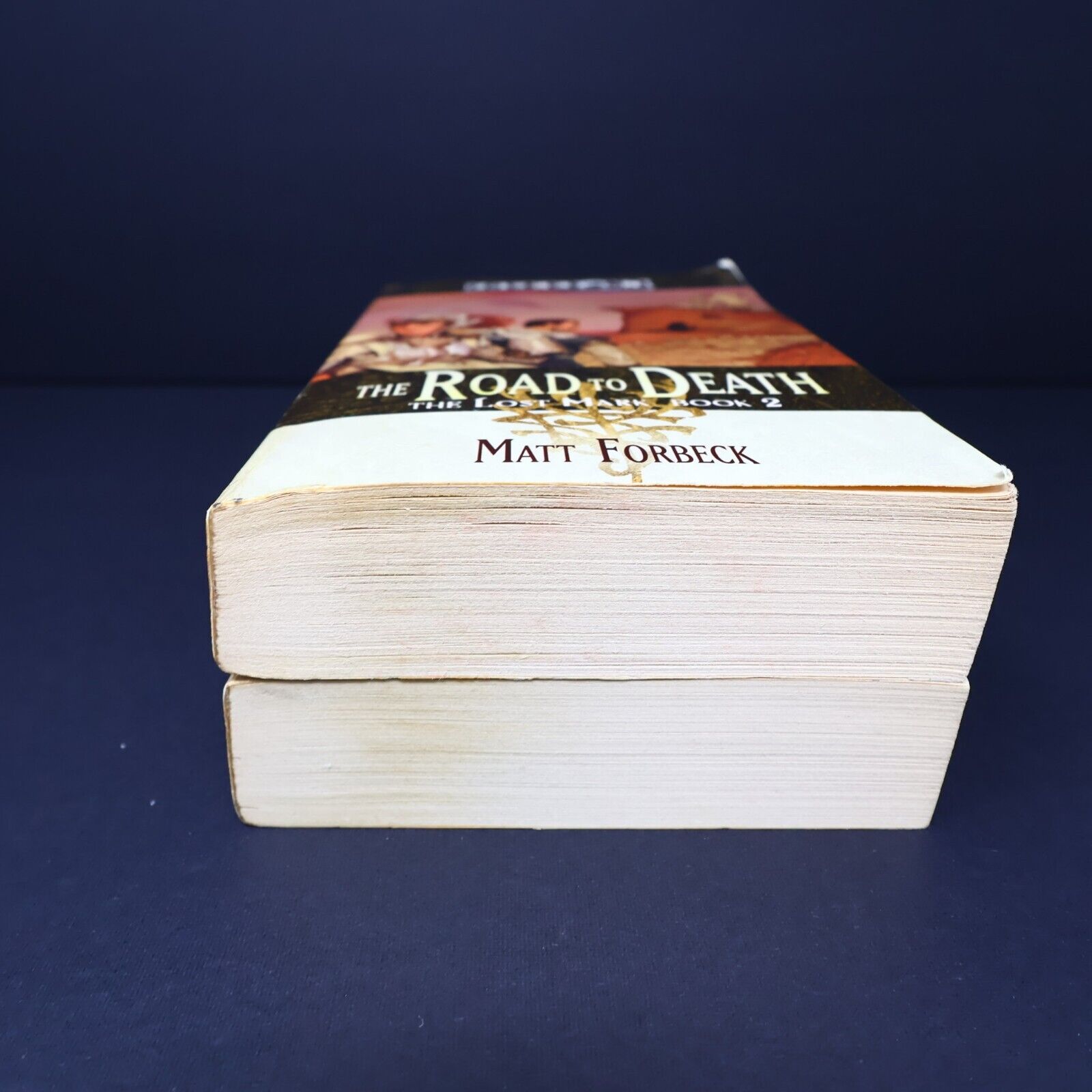 Lot 2 Books The Lost Mark #2-3 Eberron Matt Forbeck Fantasy WOC Paperback PB