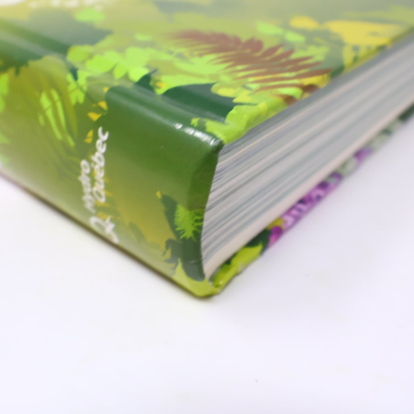 Guide to Ornamental Trees and Shrubs Hydro-Quebec 2005 3rd Ed Gardening Broquet