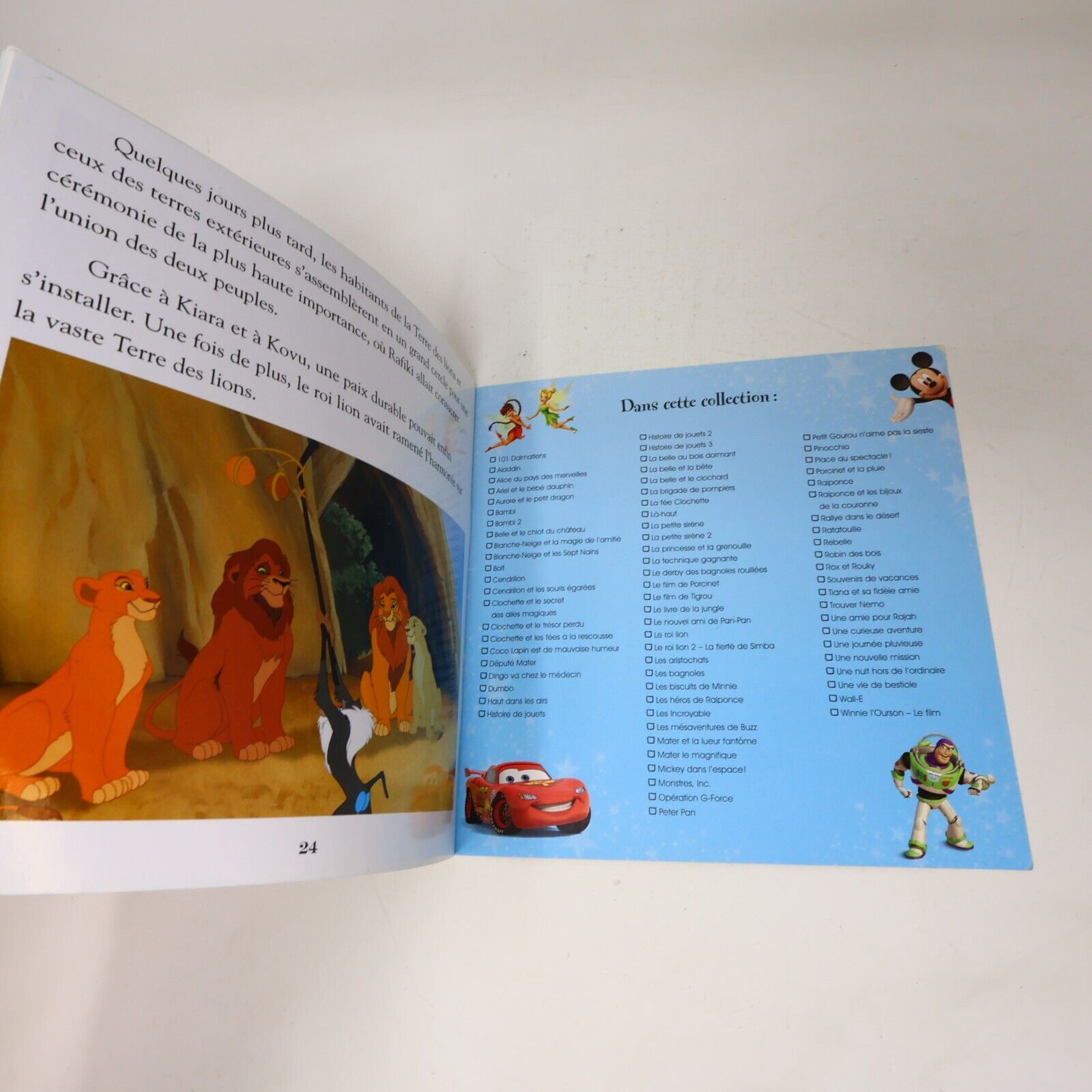 Lot 27 Livres Phidal Jeunes Enfants Princesses Contes Histoires Courtes Français