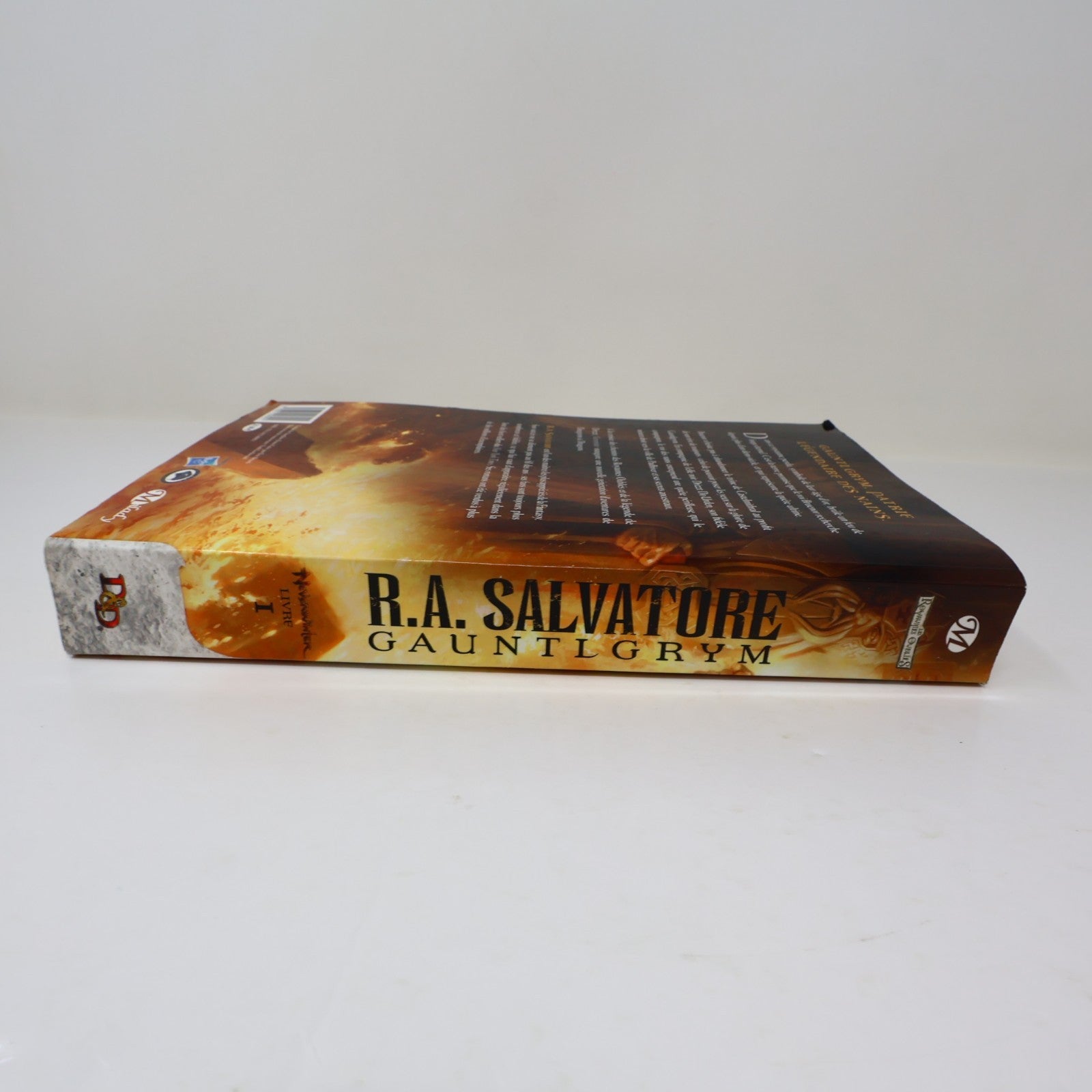 Gauntlgrym R. A. Salvatore Neverwinter #1 Les Royaumes Oubliés D&D 2012 PB Livre
