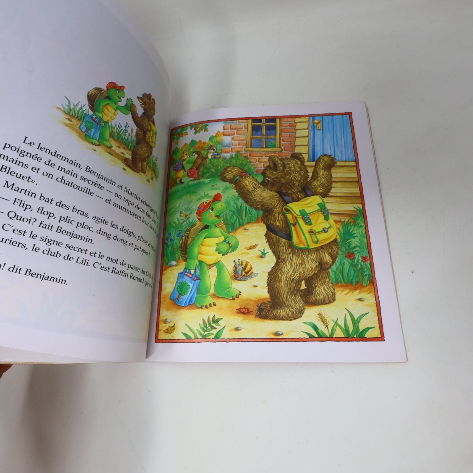 Lot 11 Livres Jeunes Enfants Loup Munsch Caillou Français French Children Bundle