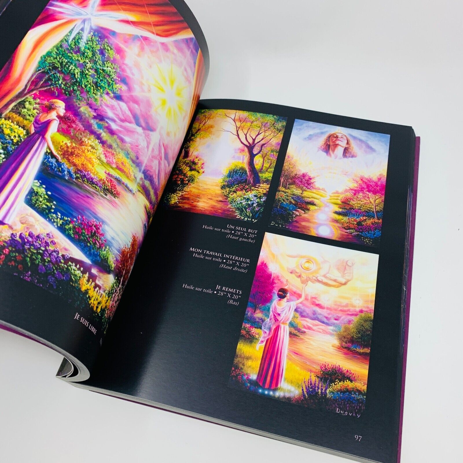 2012 Mario Duguay De l'Ombre à la Lumière Illustrations Peintures Français Livre