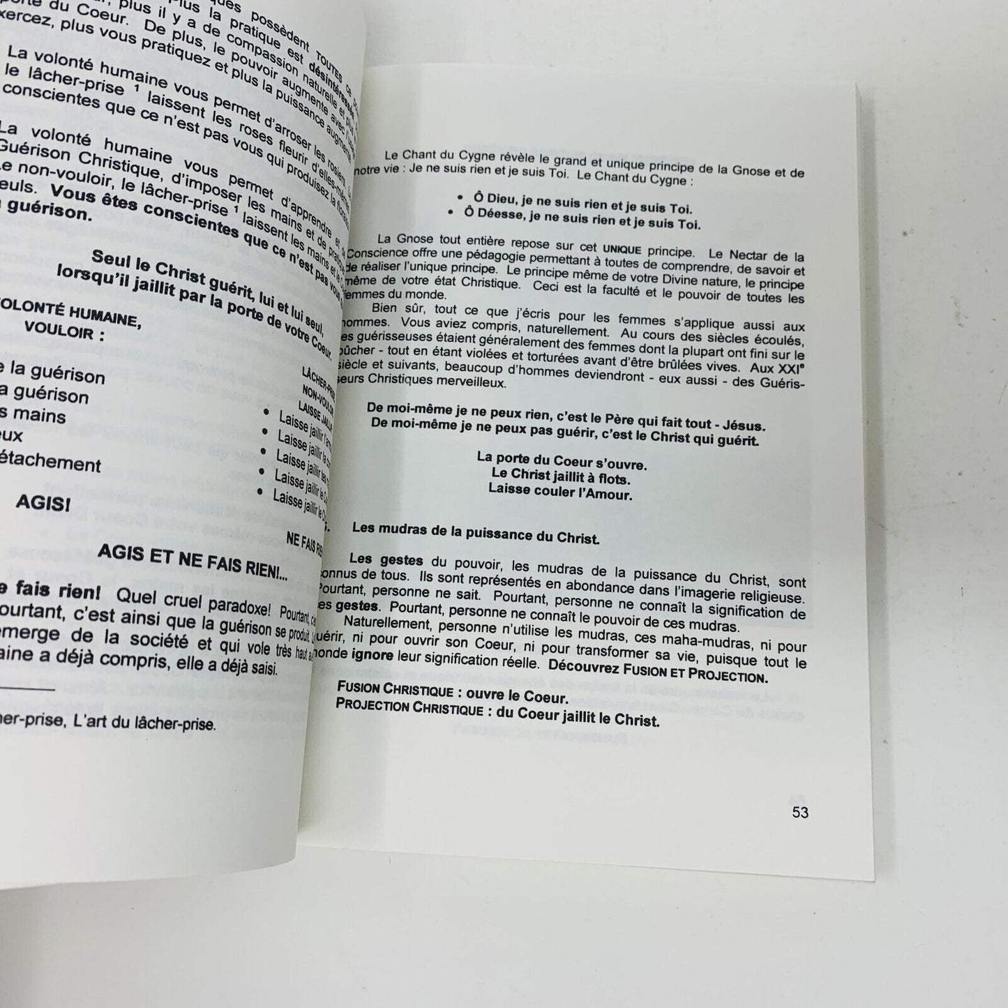 2002 Le Secret de Jésus Guérir avec Rien Guérison Christique Livre Nectar Beunas