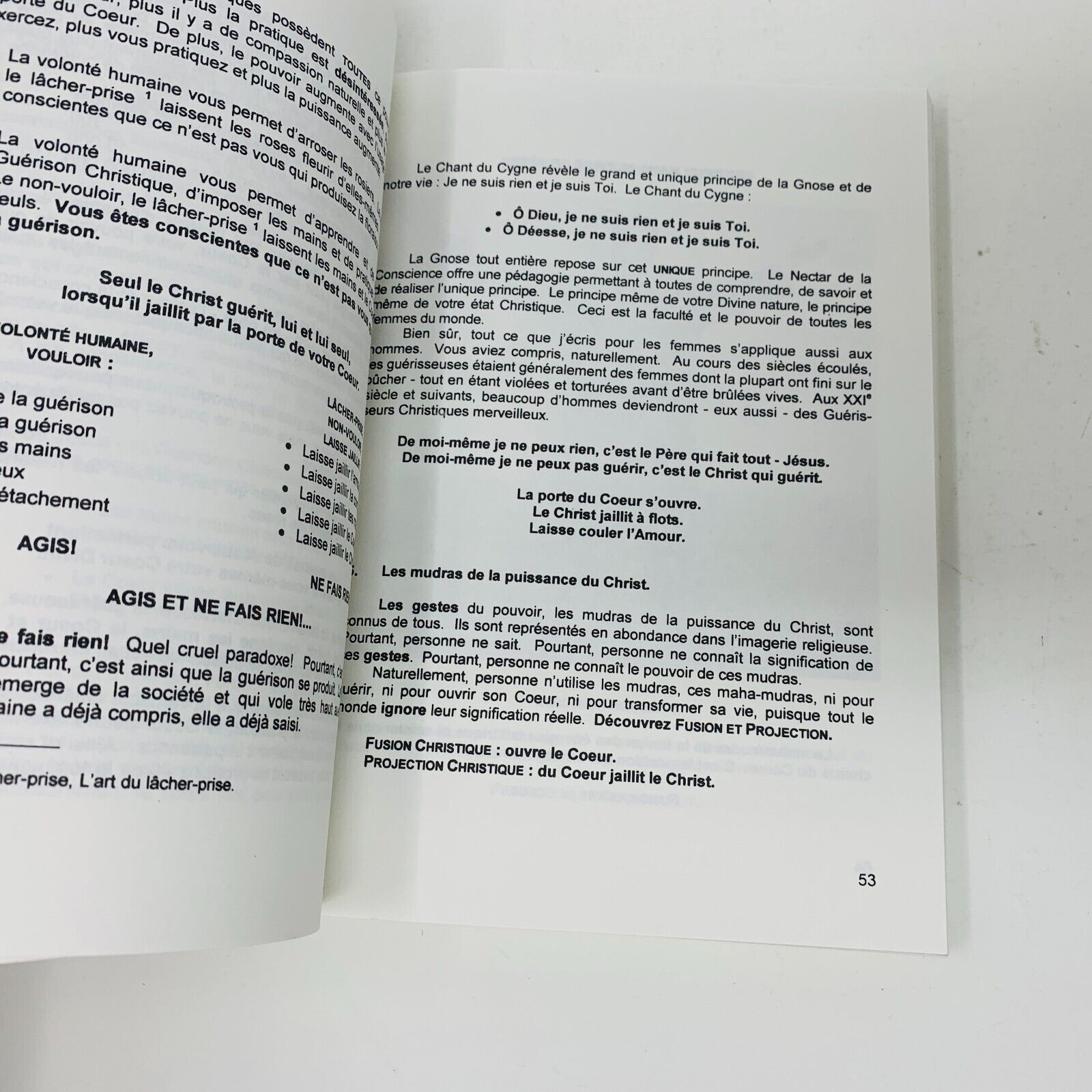 2002 Le Secret de Jésus Guérir avec Rien Guérison Christique Livre Nectar Beunas