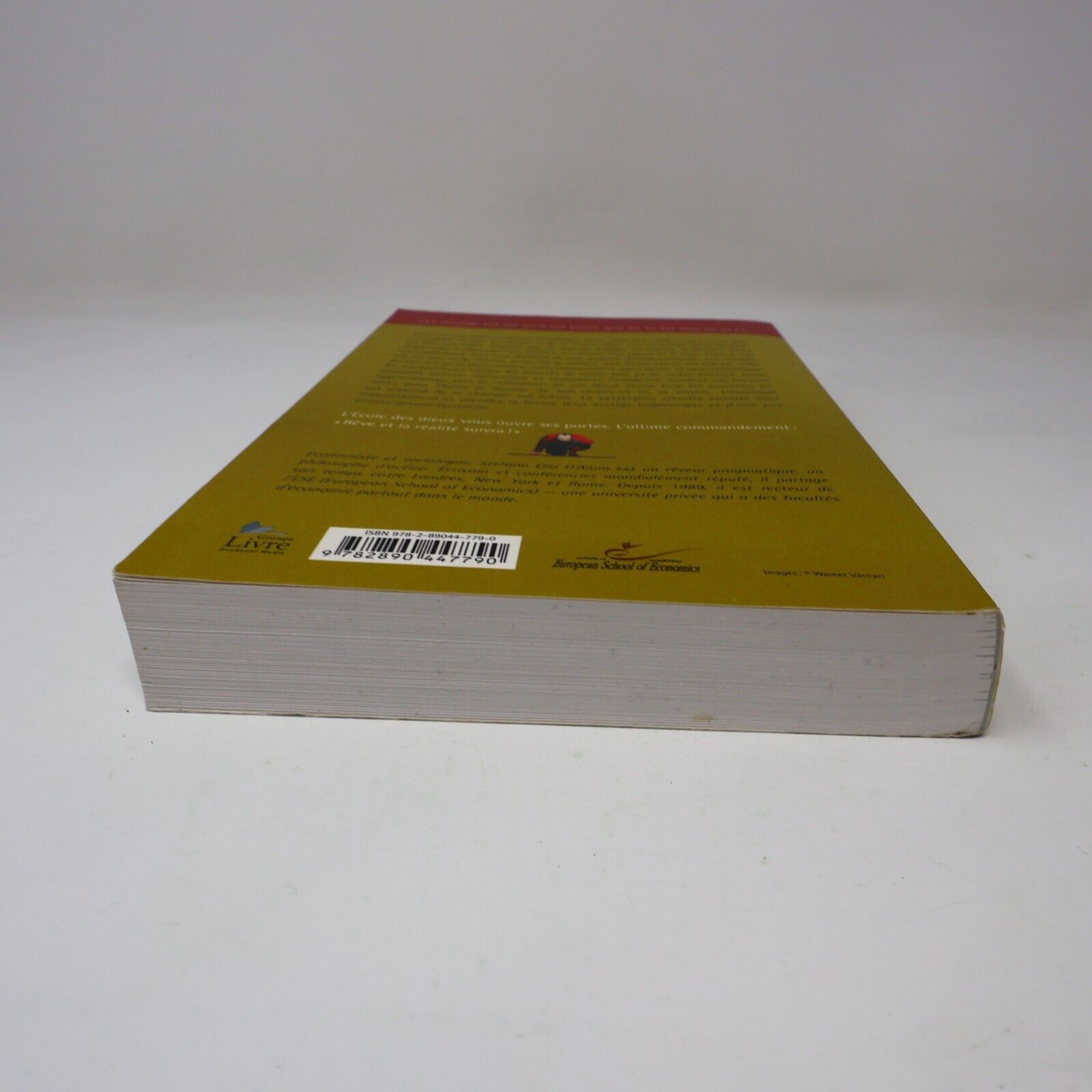 2009 L'École des Dieux de Stefano Elio D'Anna Paperback PB Le Jour Spiritualité