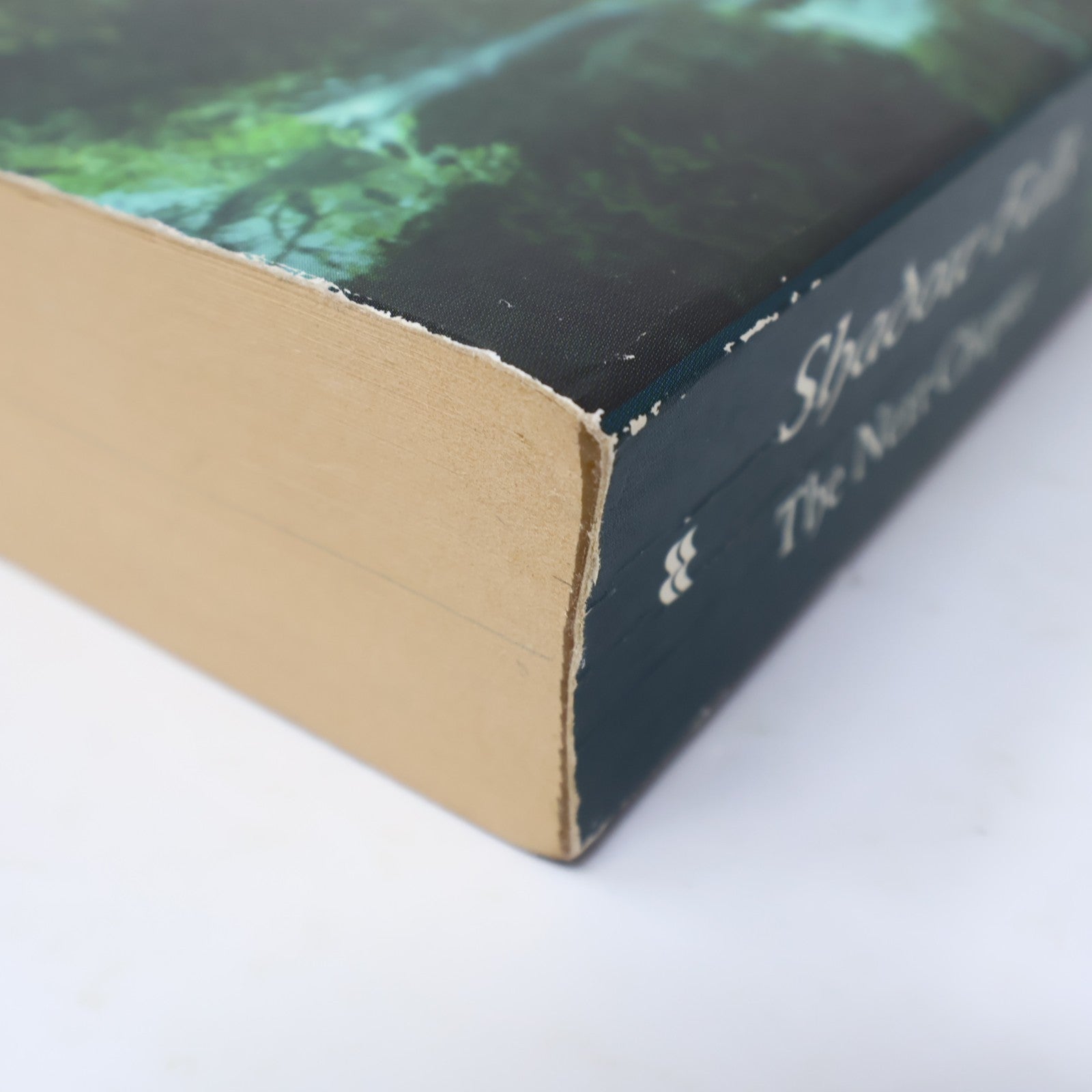 Taken At Dusk/Whispers At Moonrise C. C. Hunter Shadow Falls the Next Chapter PB