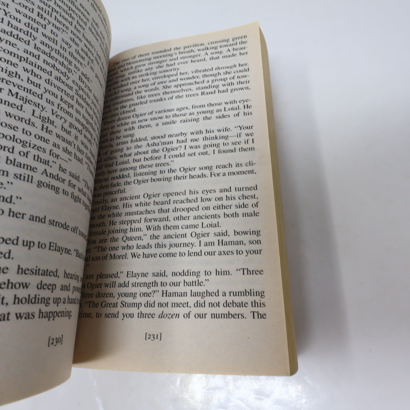 The Wheel of Time #14 A Memory of Light Robert Jordan/Brandon Sanderson TOR MMPB