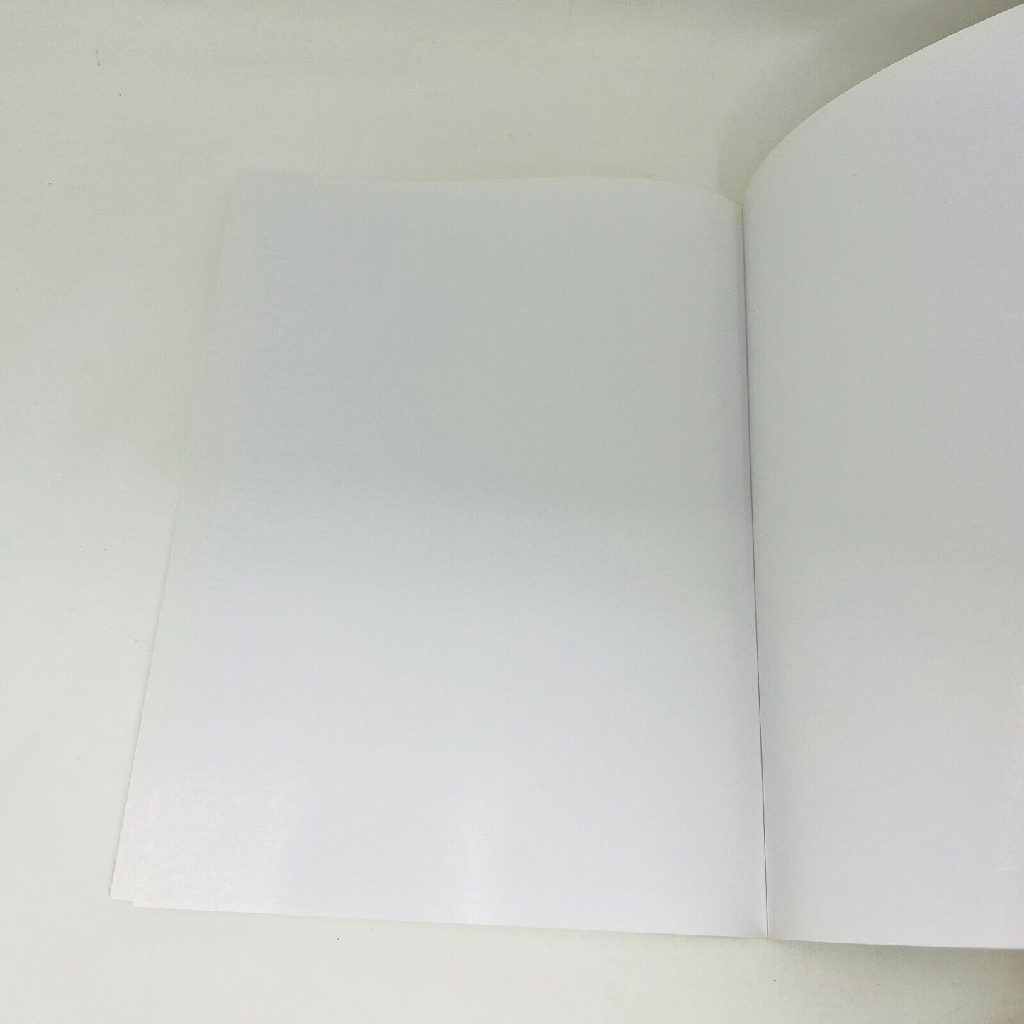Restauration et Finition de Meubles en Bois Livre Bricolage Black & Decker 2008