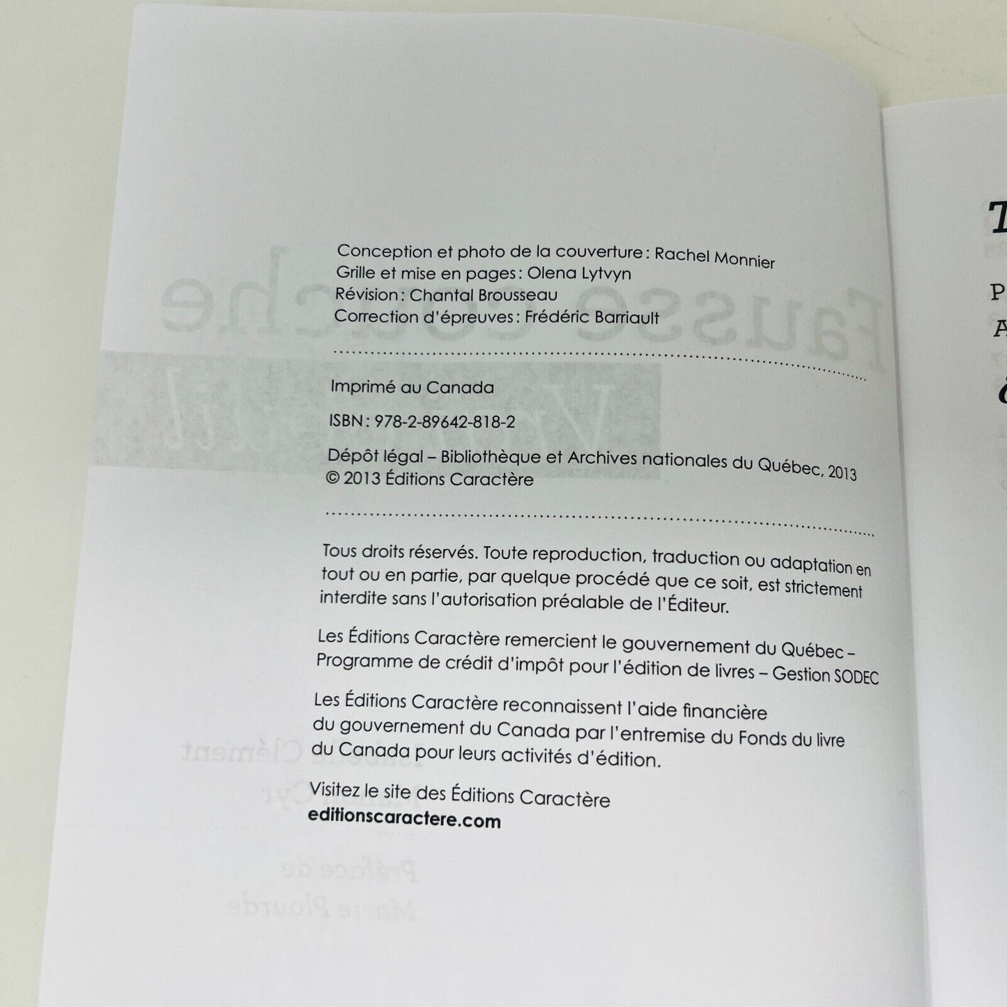 2013 Fausse Couche Vrai Deuil Clément/Cyr Psychologie Conseils Français Livre PB