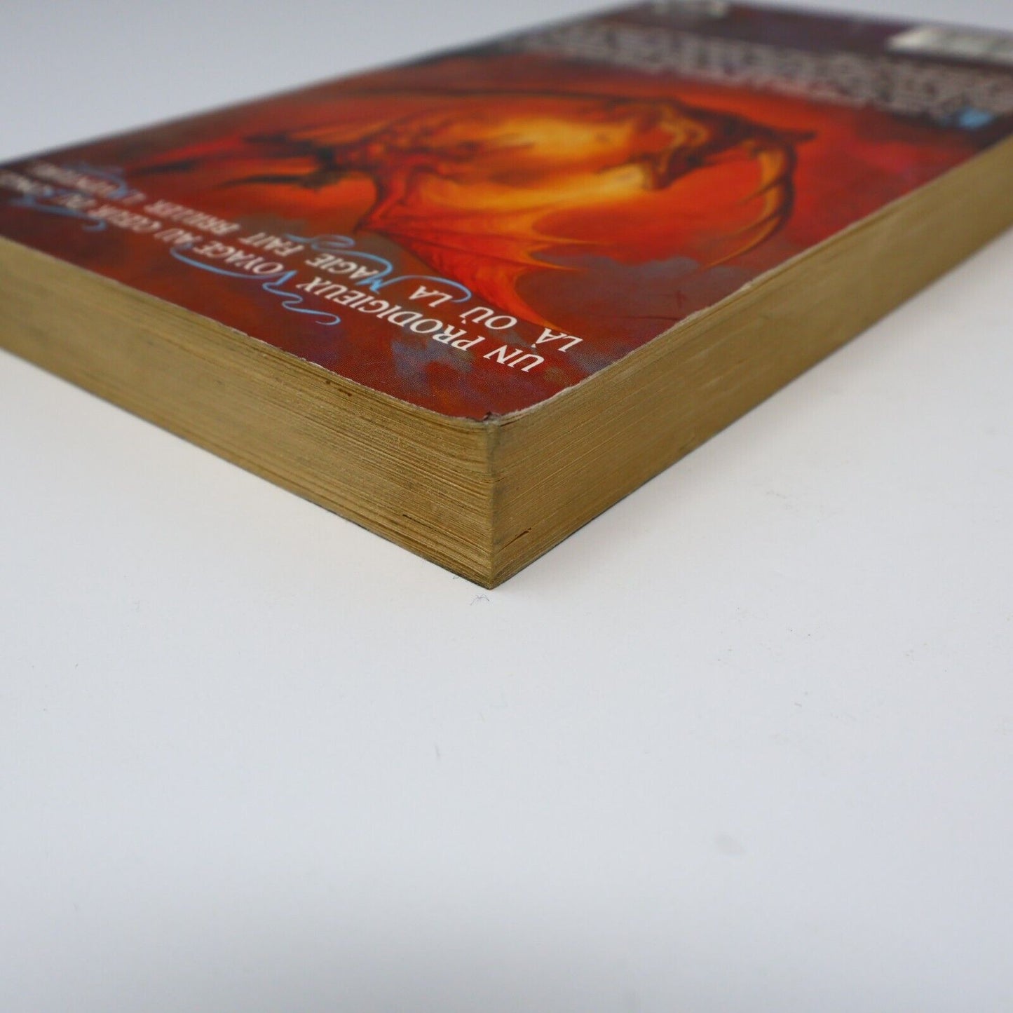 2003 Royaumes Oubliés #2 Tantras La Trilogie des Avatars Forgotten Realms Livre