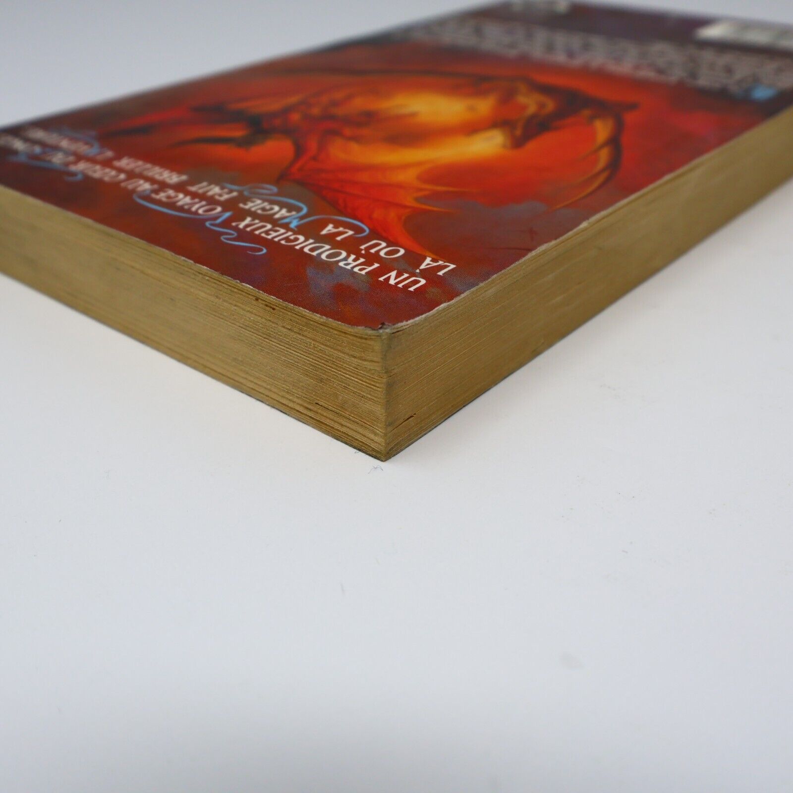 2003 Royaumes Oubliés #2 Tantras La Trilogie des Avatars Forgotten Realms Livre