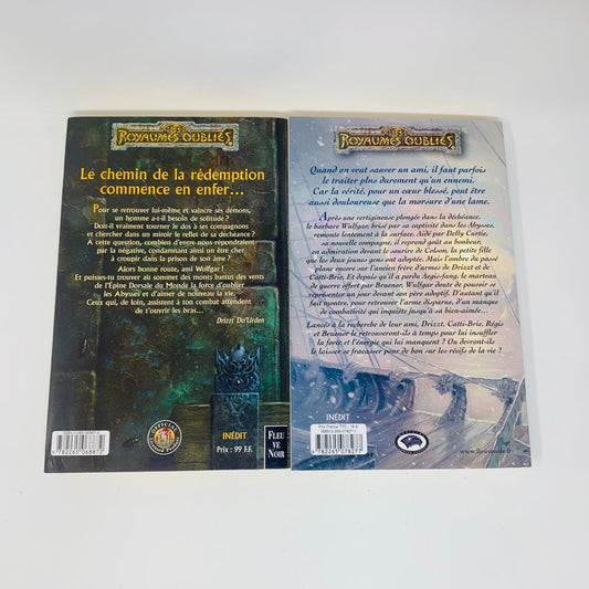 La Séquence d'Ombre-Terre #1 & 4 Grand Format Lot Royaumes Oubliés Fleuve Noir