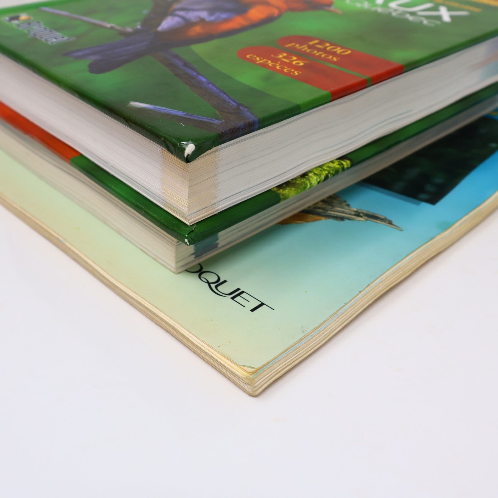 Suzanne Brûlotte Lot 3 Livres Les Oiseaux du Québec Guide d'Identification Books
