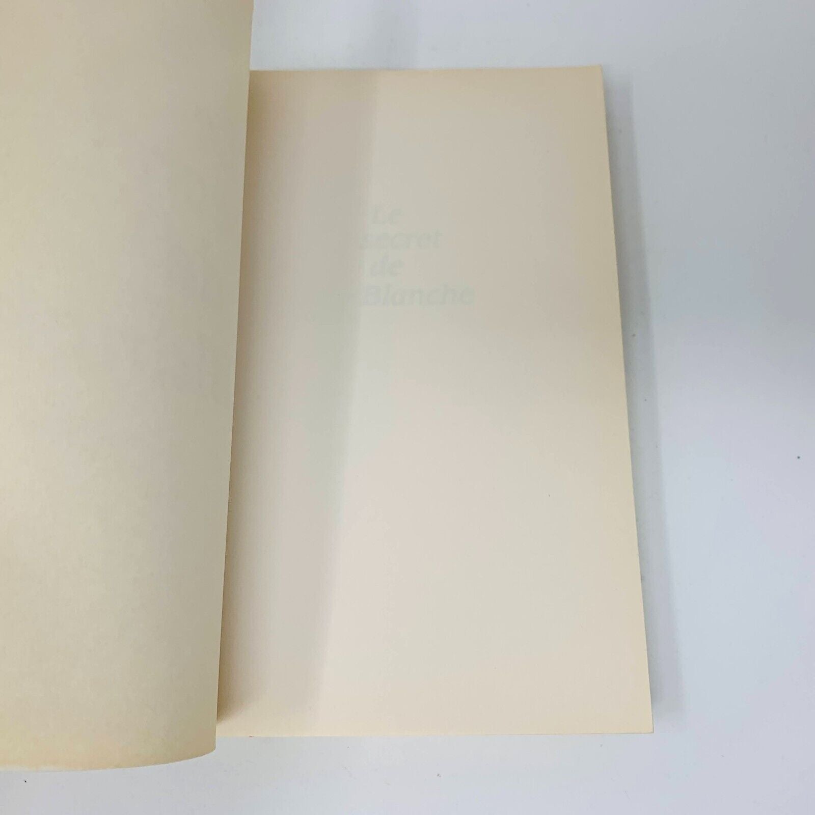 1999 Le Secret de Blanche Témoignage Blanche Landry Livre Victimes Abus Sexuels
