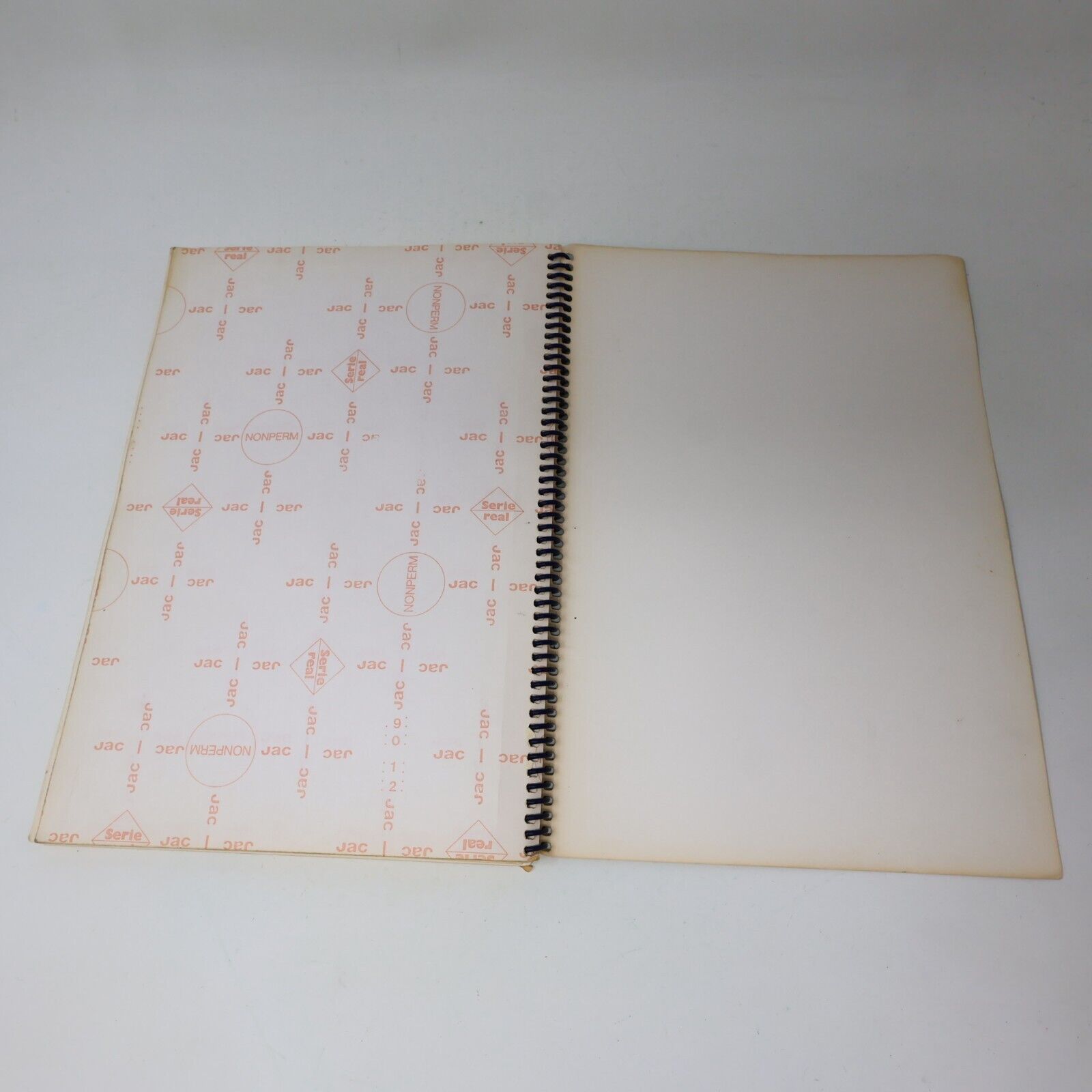 1989 S'Appivoiser aux Oiseaux Suzanne Brûlotte Susy le Brun La Collection Plume