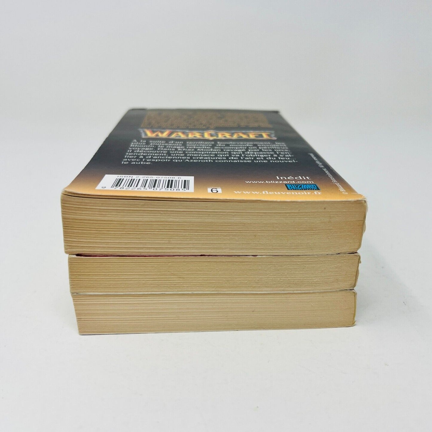 Livres Warcraft 1-3 Fleuve Noir Le Jour du Dragon Chef de Rébellion Français Lot