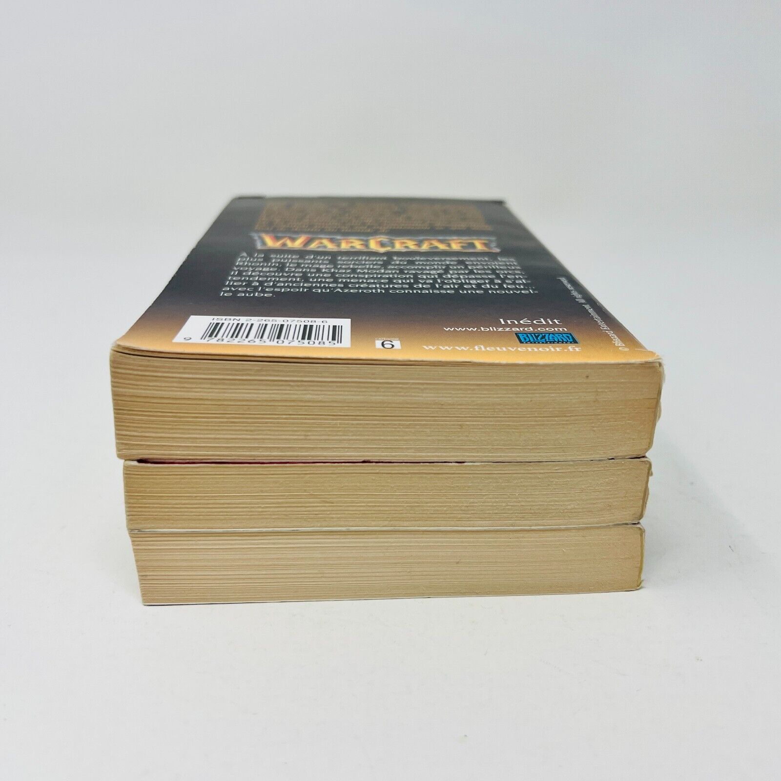 Livres Warcraft 1-3 Fleuve Noir Le Jour du Dragon Chef de Rébellion Français Lot