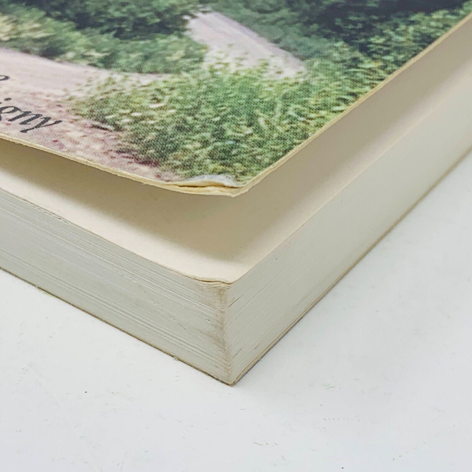 2003 La Cuisine Traditionnelle de Charlevoix M. Mongrain-Dontigny Livre Recettes