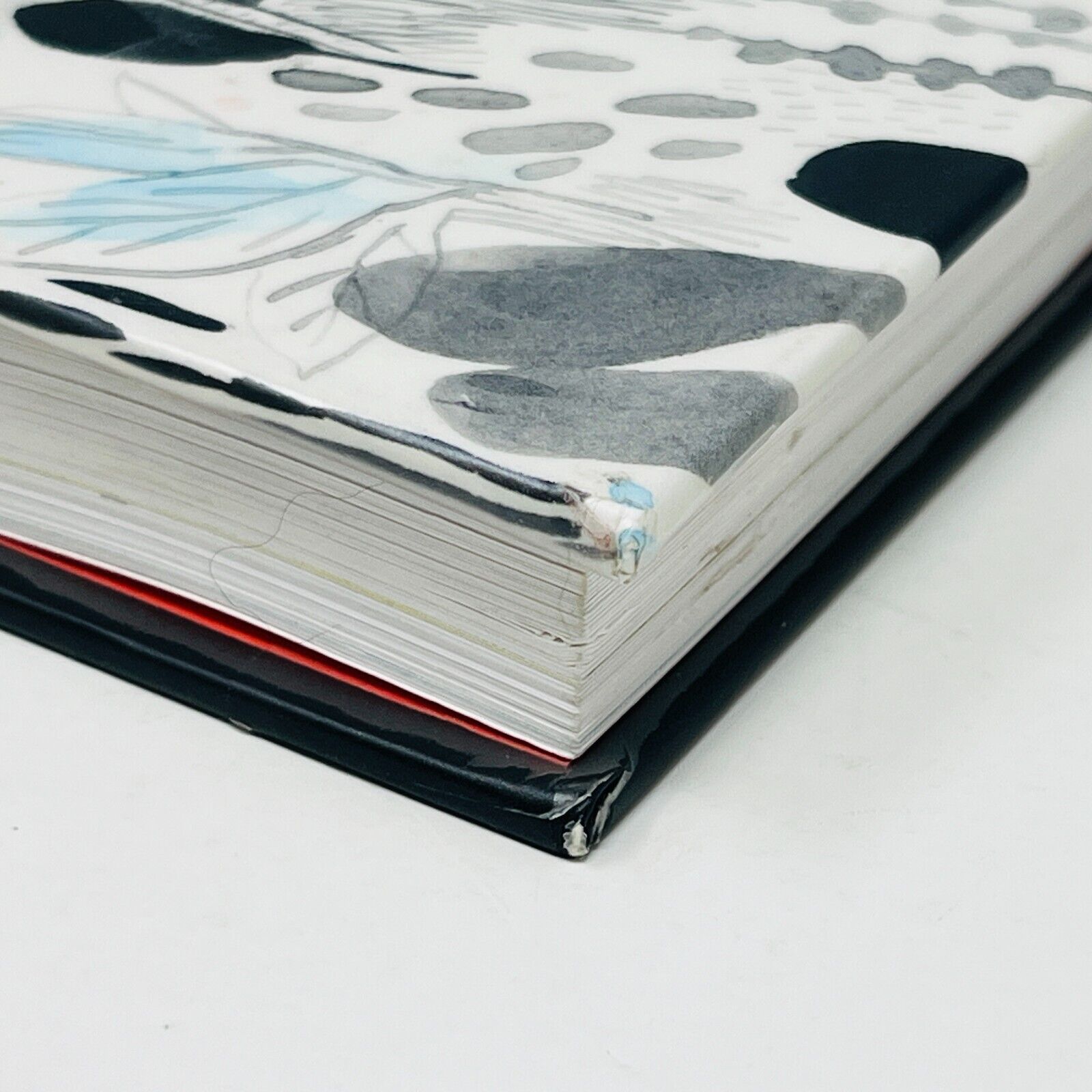 2016 Louis Parmi les Spectres de Isabelle Arsenault/Fanny Britt La Pastèque BD