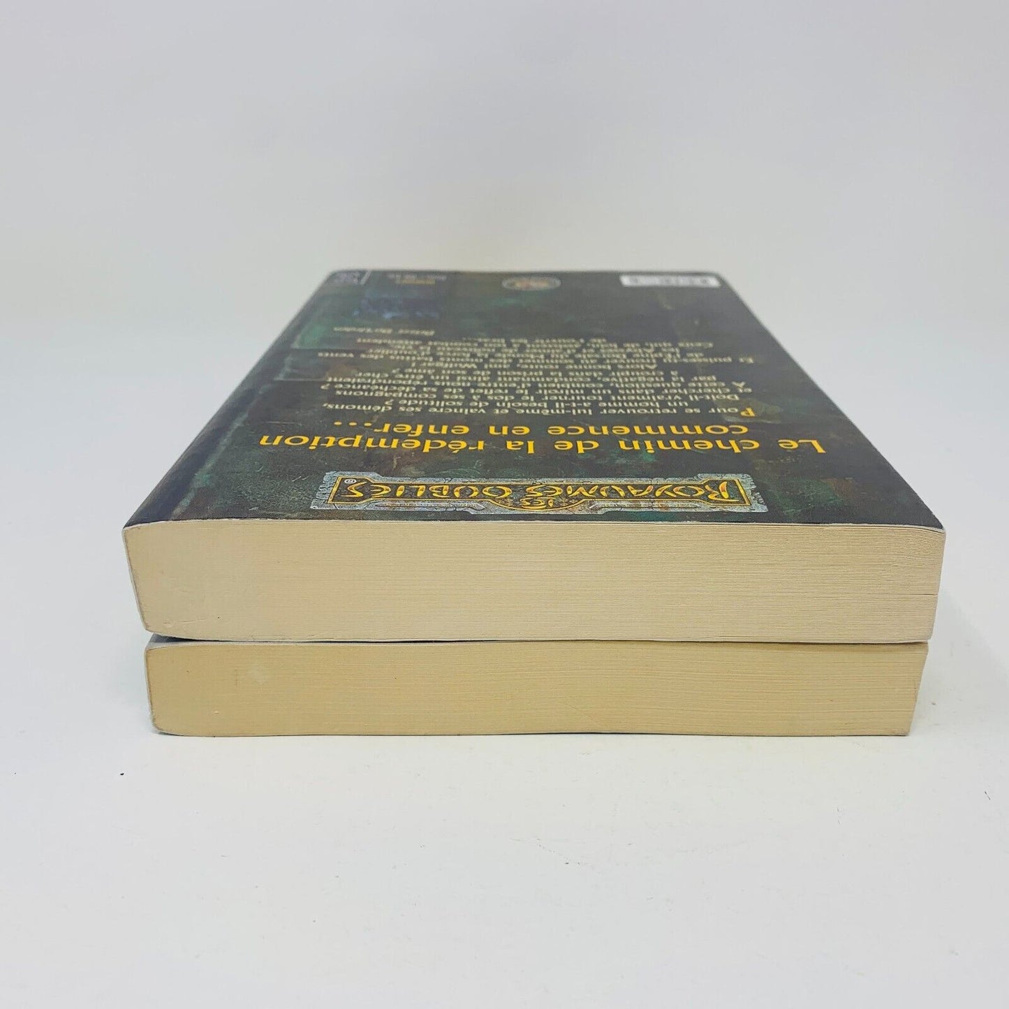 La Séquence d'Ombre-Terre #1 & 4 Grand Format Lot Royaumes Oubliés Fleuve Noir
