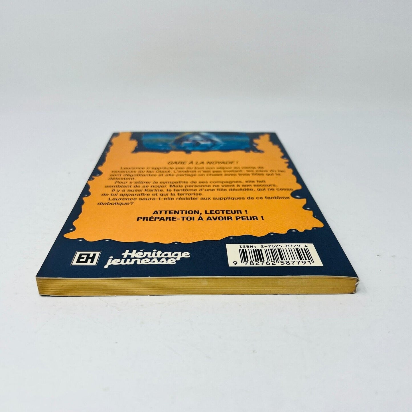1998 Chair de Poule #54 La Malédiction du Lac Glacé Goosebumps Français RL Stine