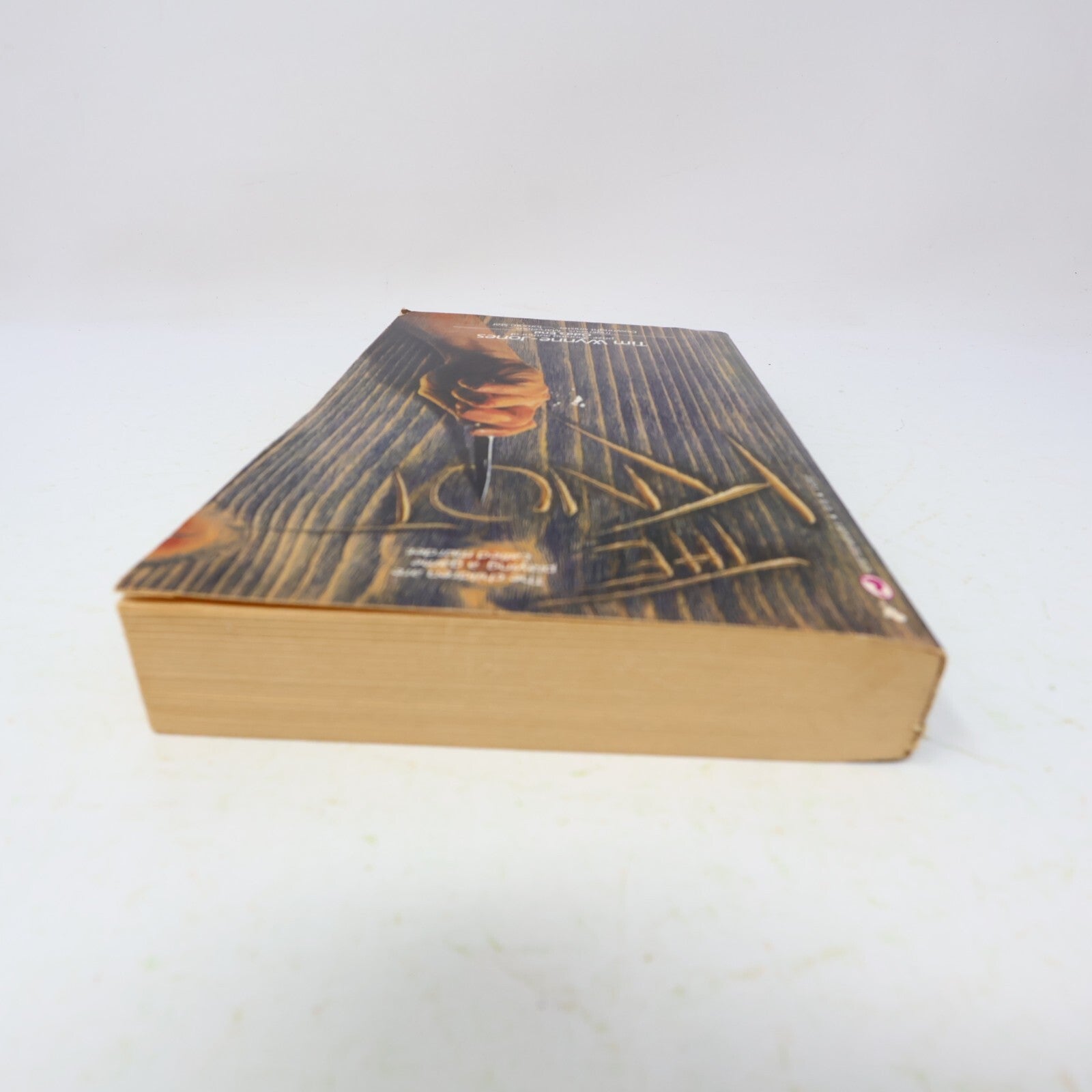 1983 The Knot Tim Wynne-Jones Bantam Mystery Thriller Crime Paperback Book 80s