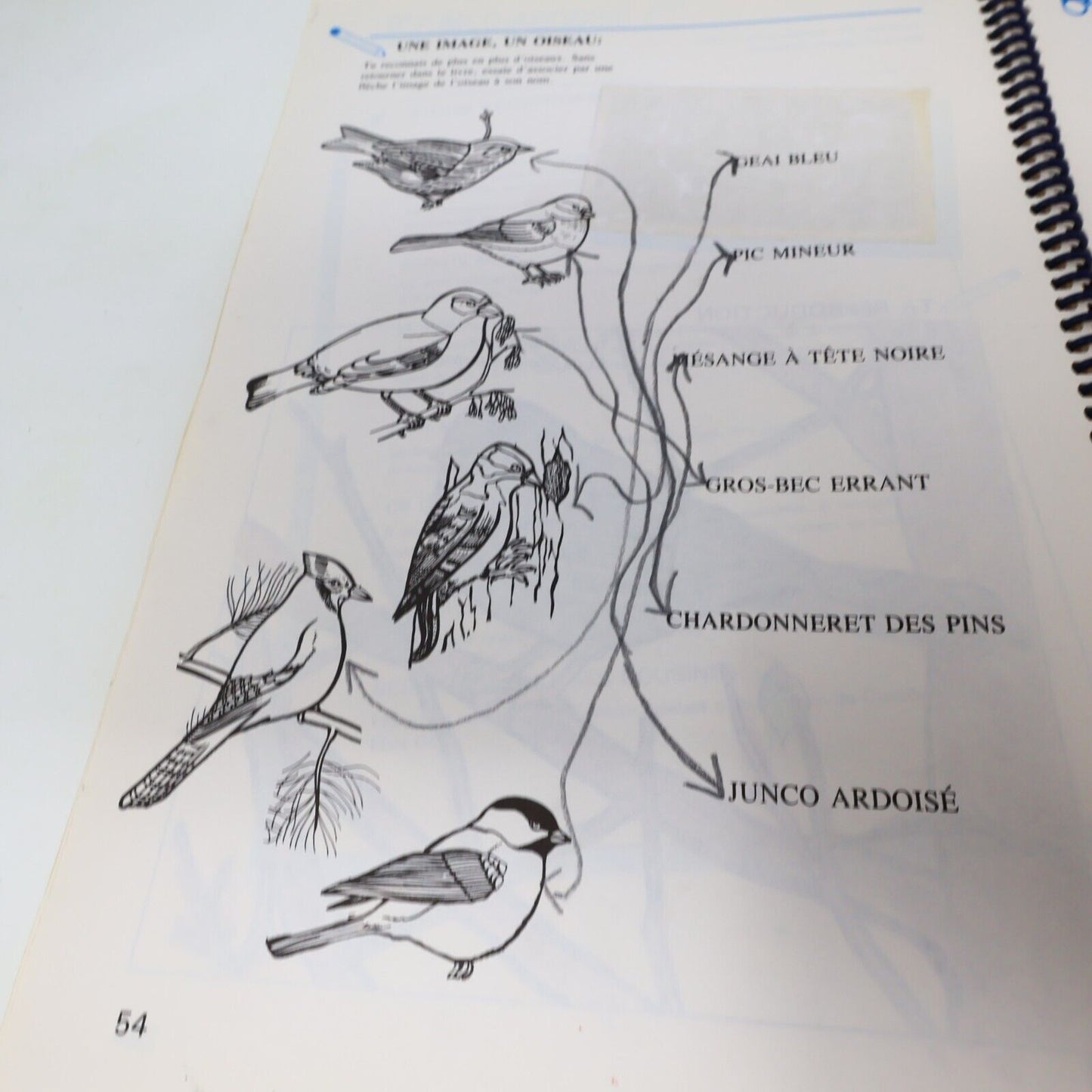 1989 S'Appivoiser aux Oiseaux Suzanne Brûlotte Susy le Brun La Collection Plume