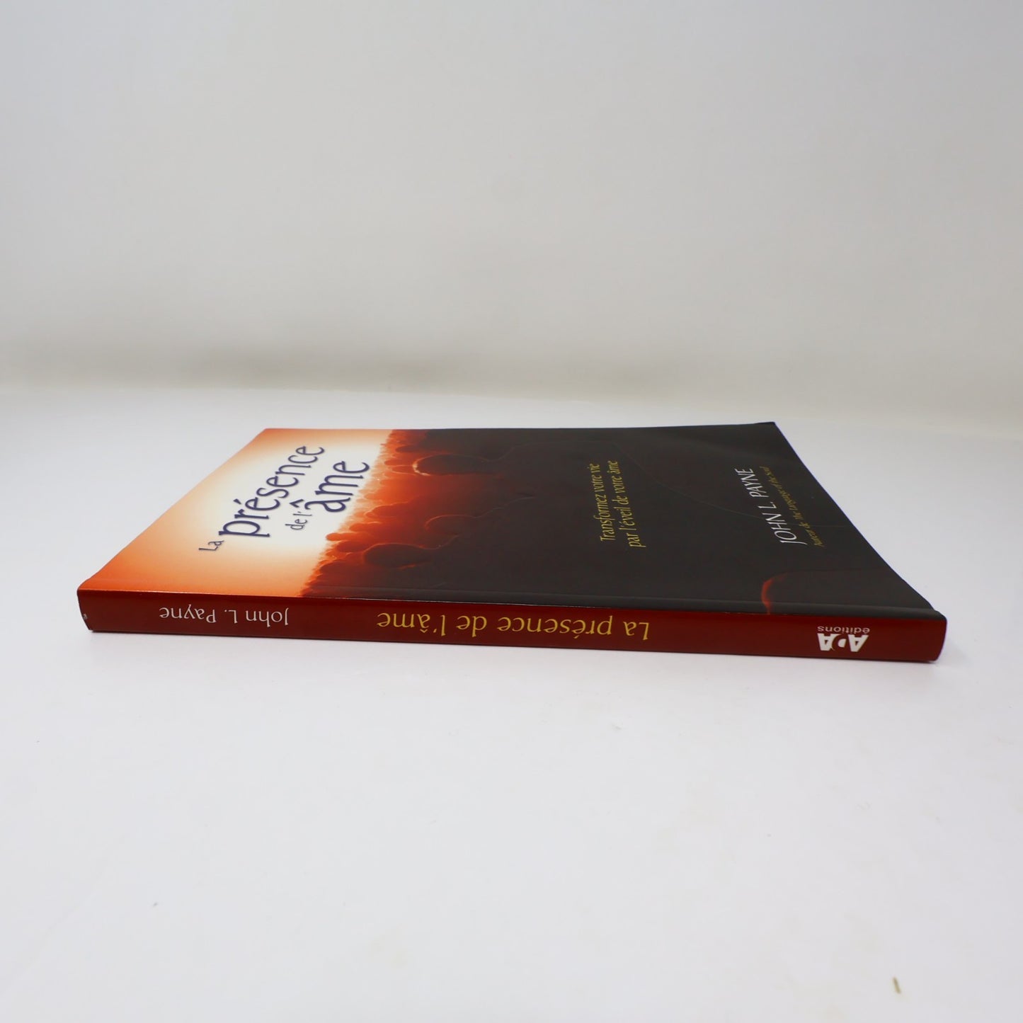 La Présence de l'Âme John Payne Ada 2009 PB Français French Ésotérisme Paperback