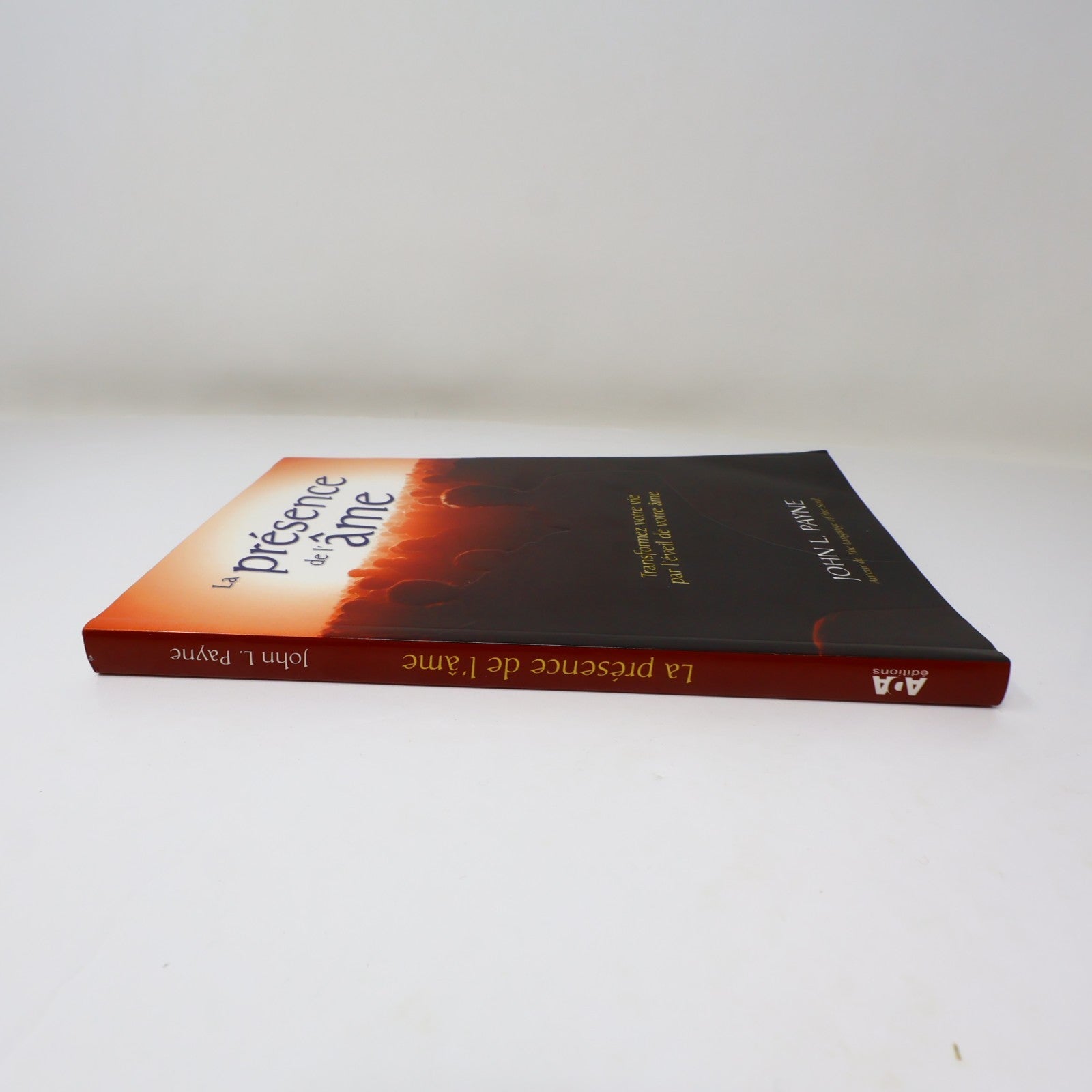 La Présence de l'Âme John Payne Ada 2009 PB Français French Ésotérisme Paperback