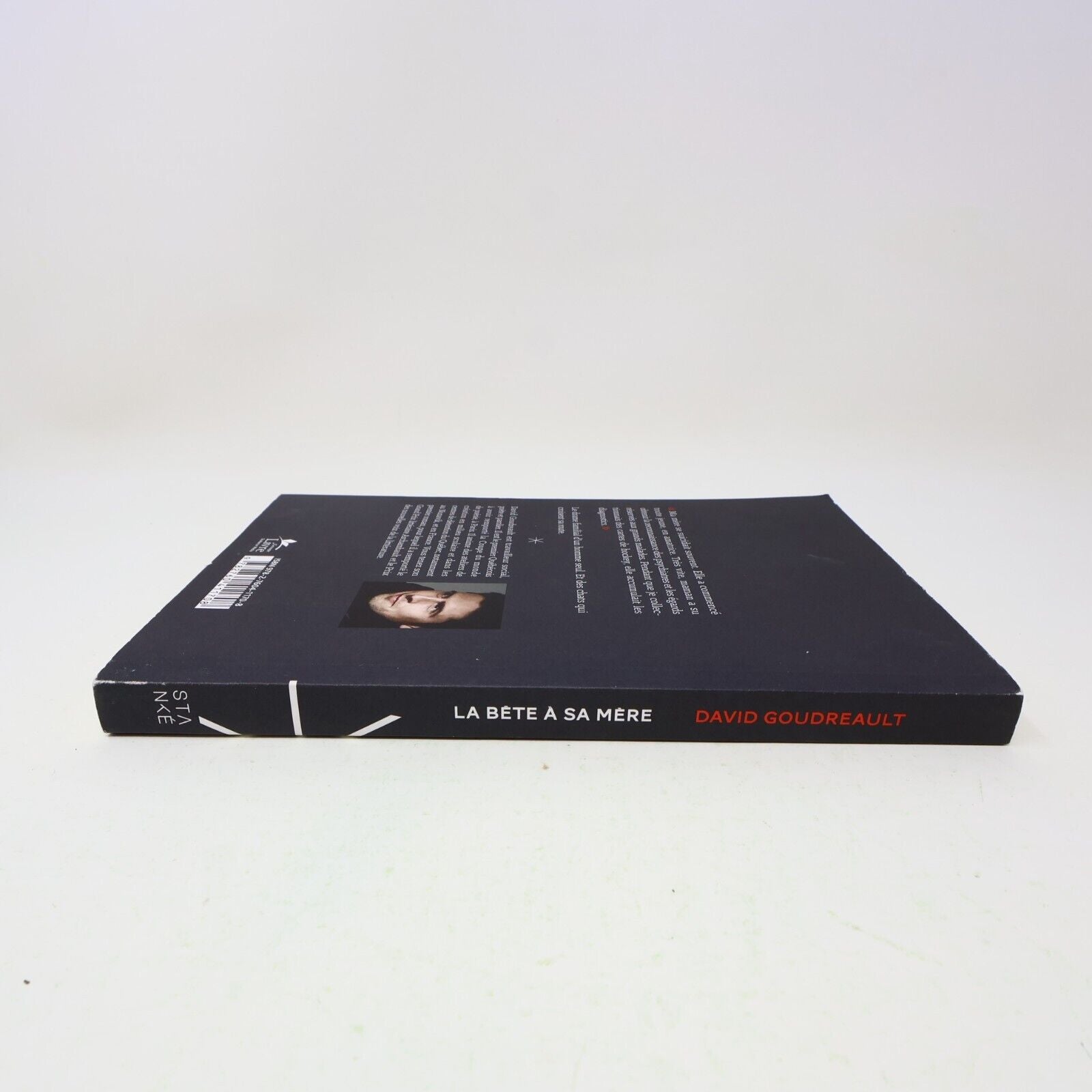 2015 La Bête à sa Mère David Goudreault Stanké Français Paperback Roman Québec