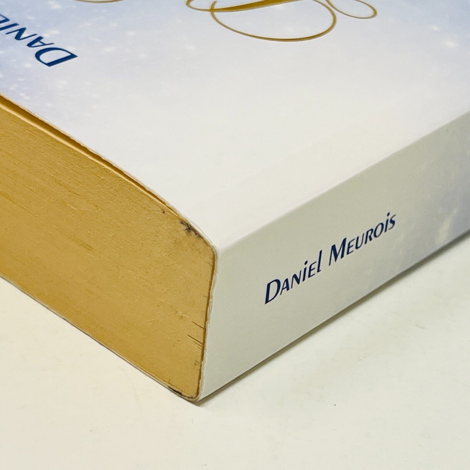 2015 Le livre Secret de Jeshua la Vie Cachée de Jésus Daniel Meurois Passe-Monde