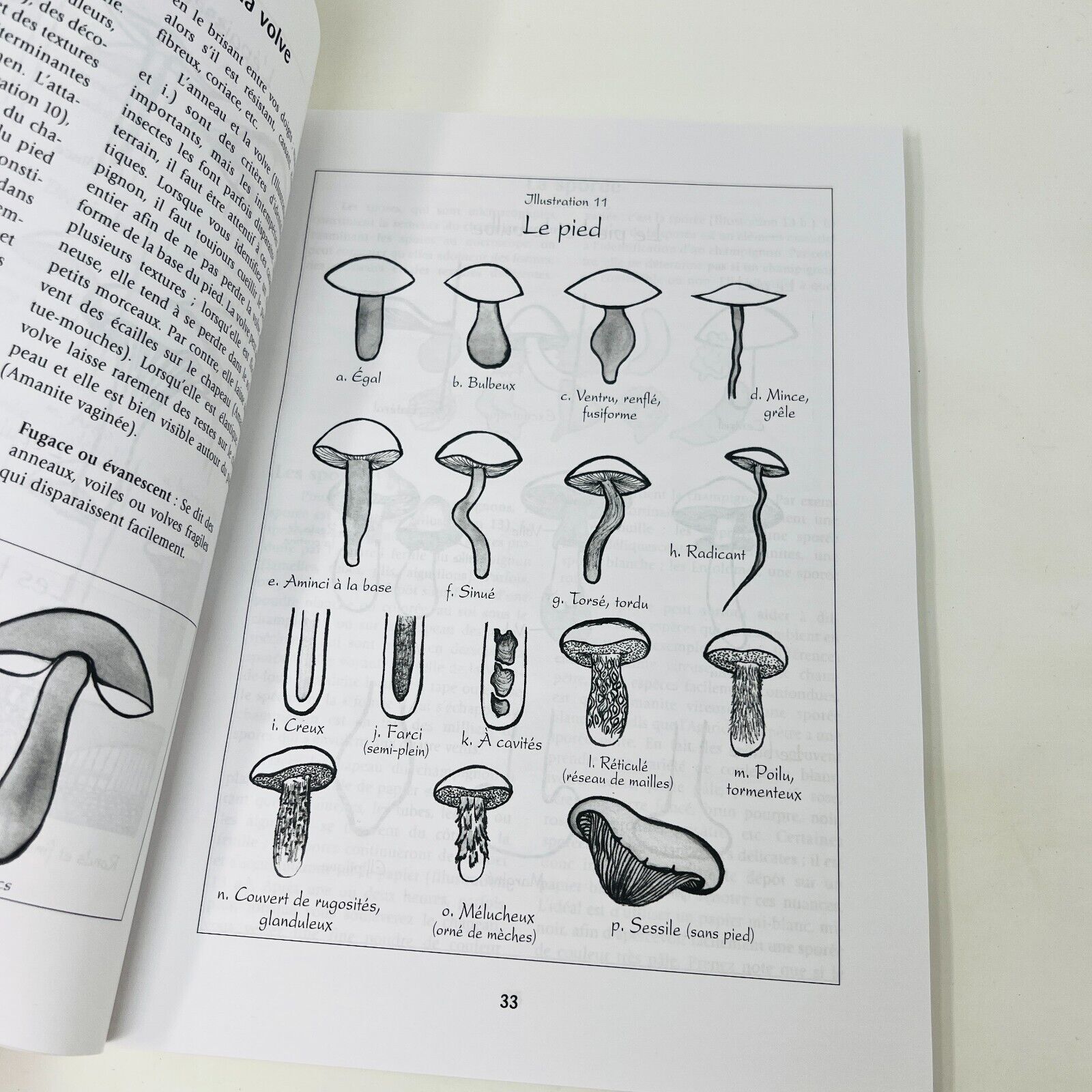 Il Était une Fois des Champignons Sauvages Identifier/Apprêter de Guylaine Duval