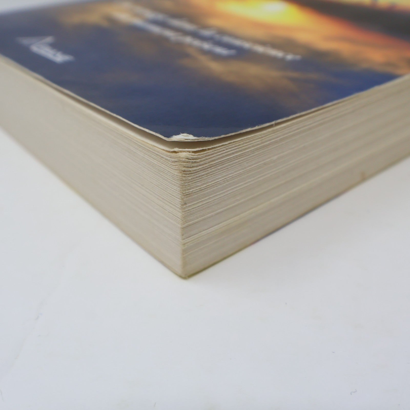 Le Processus de la Présence Michael Brown Ariane 2012 PB Français French Livre