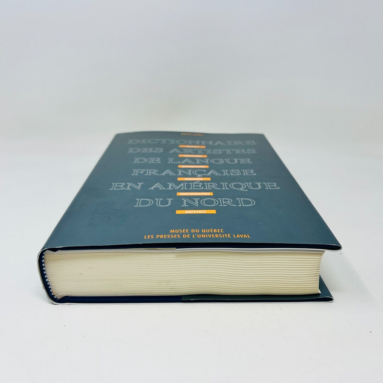 Dictionnaire des Artistes de Langue Française en Amérique du Nord de David Karel
