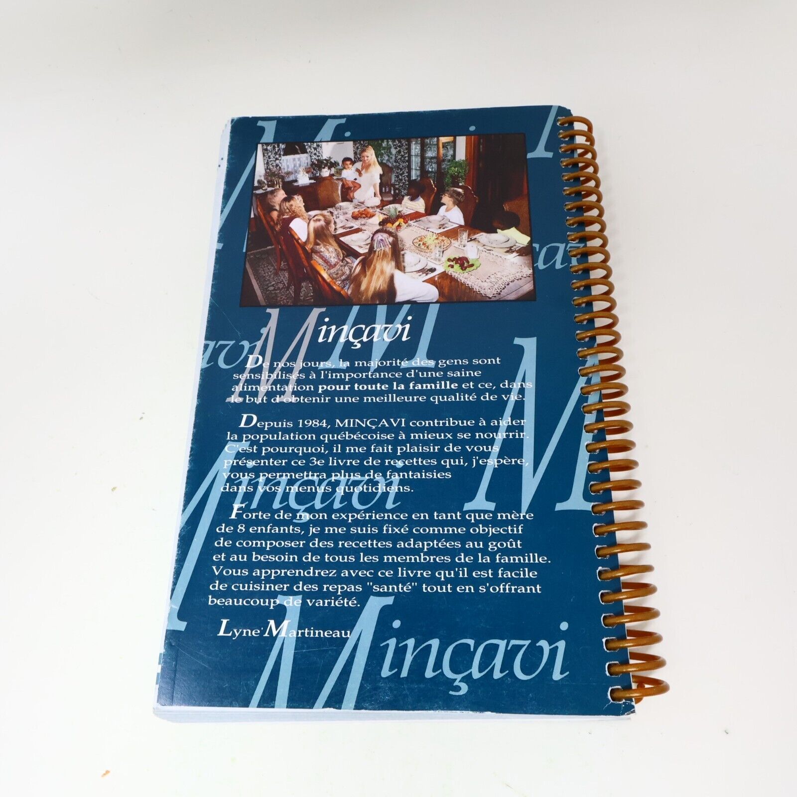 Lot 5 Livres Recettes Cuisine Minçavi #1-5 de Lyne Martineau Français 90s French