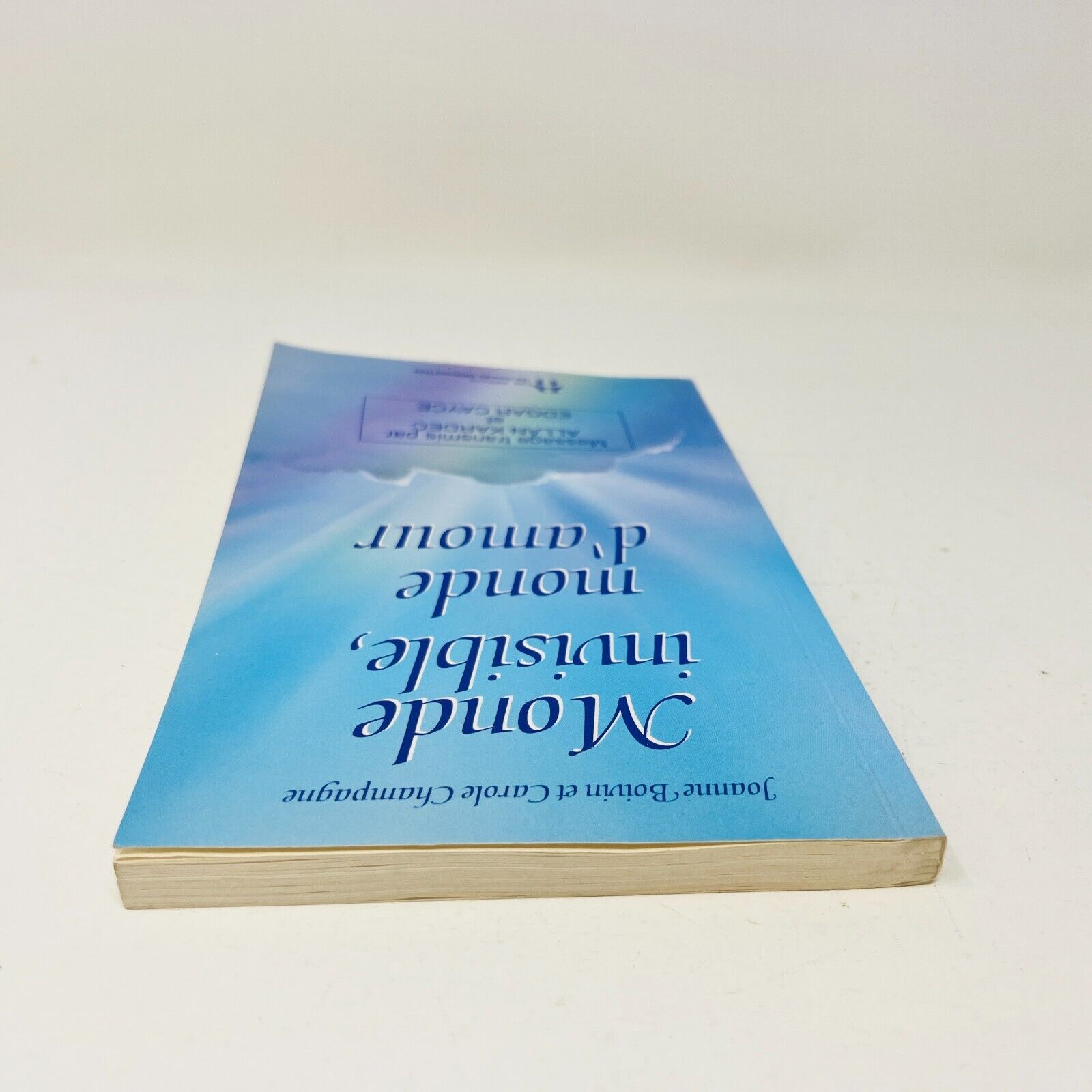 Monde Invisible Monde d'Amour de Joanne Boivin/Carole Champagne Monde Différent
