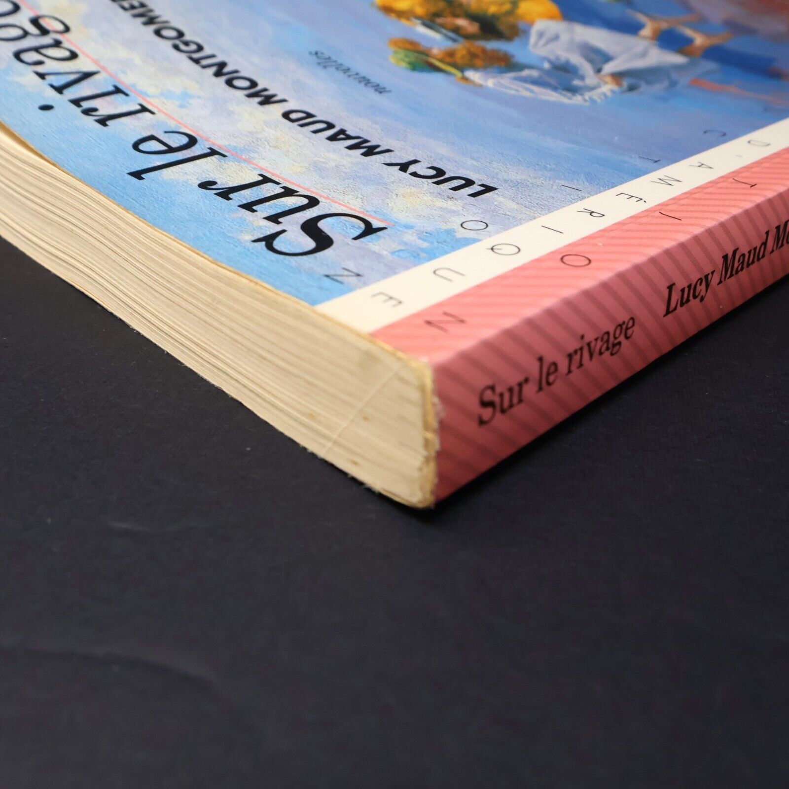 1990 Sur le Rivage de Lucy Maud Montgomery Roman Québec Amérique Français Livre