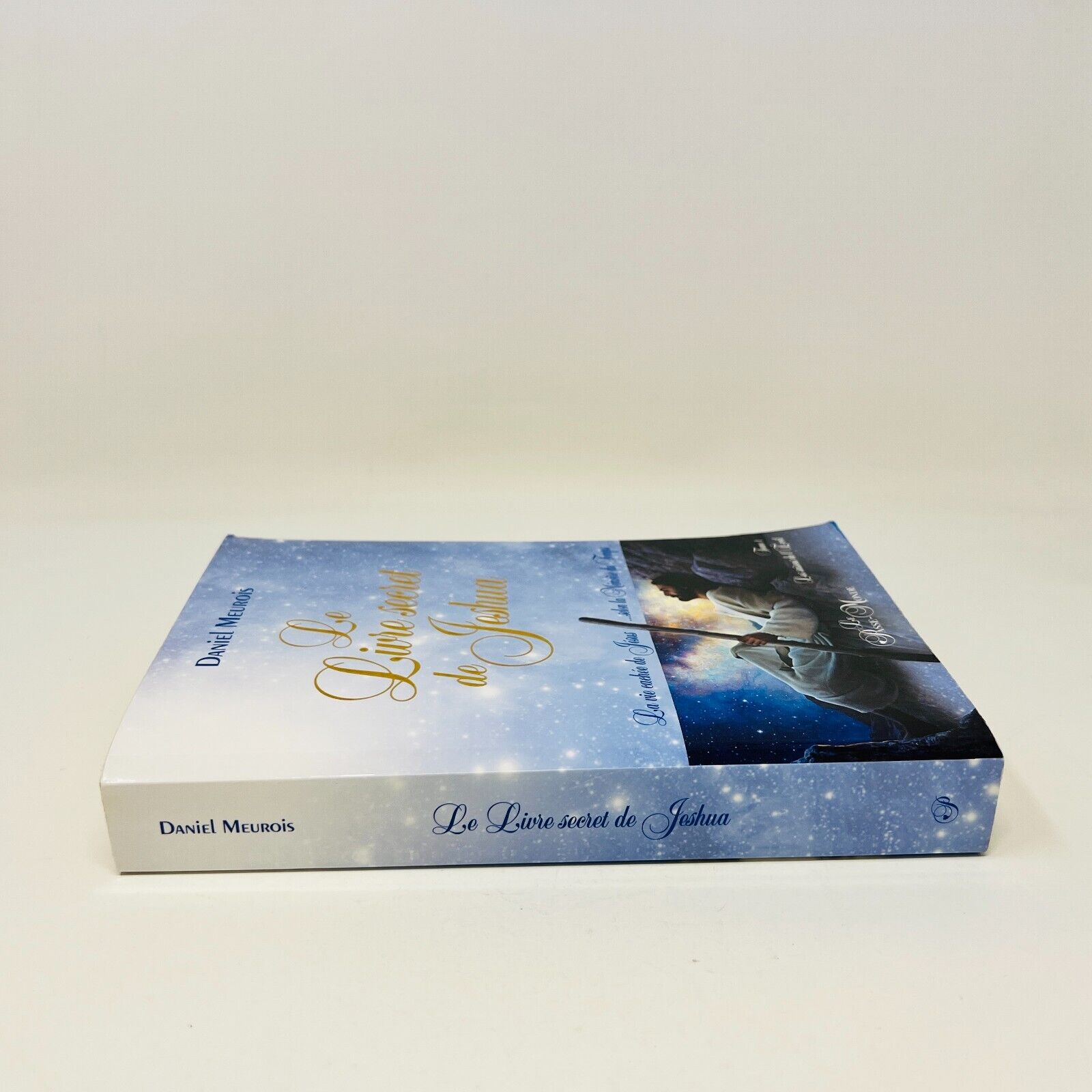 2015 Le livre Secret de Jeshua la Vie Cachée de Jésus Daniel Meurois Passe-Monde