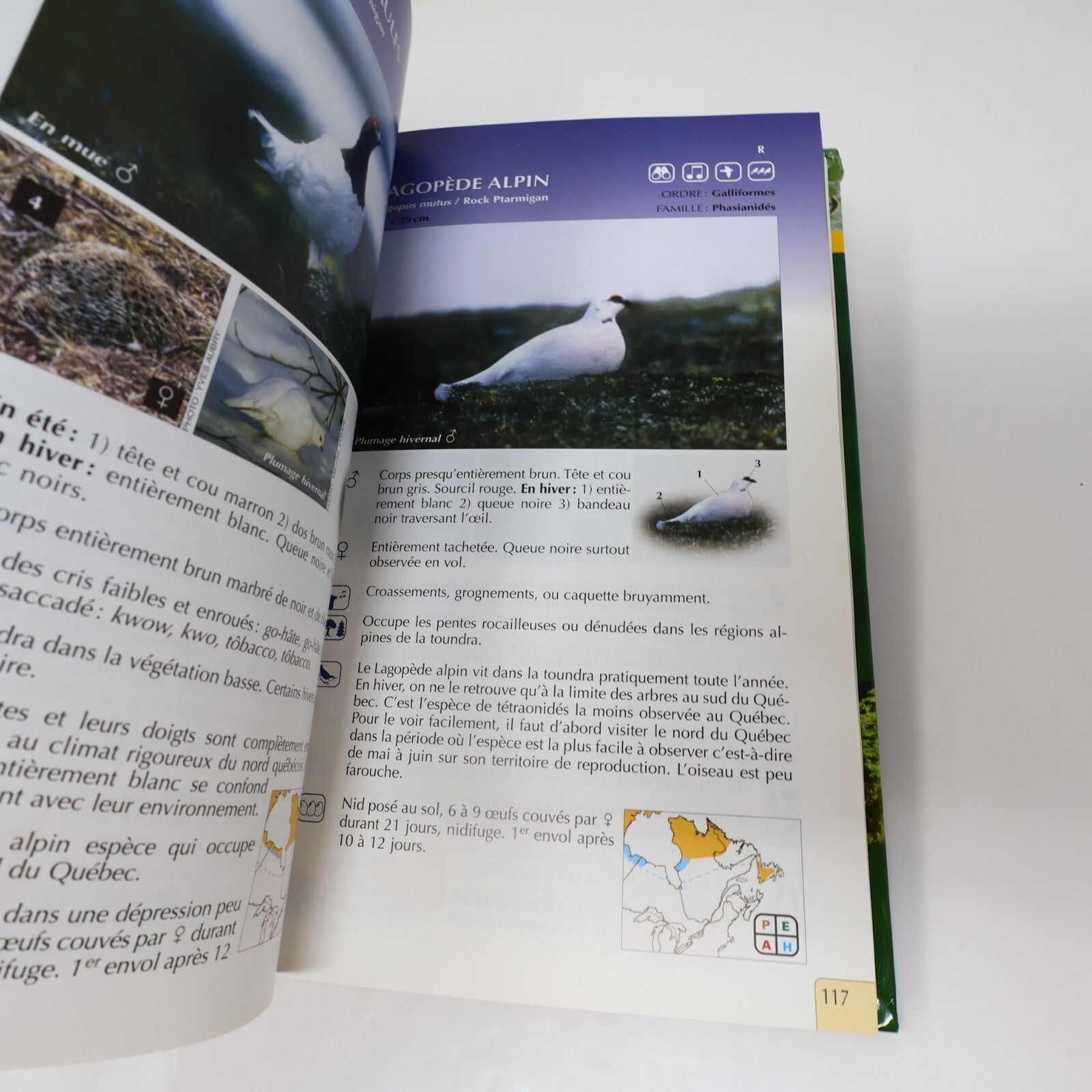 Suzanne Brûlotte Lot 3 Livres Les Oiseaux du Québec Guide d'Identification Books