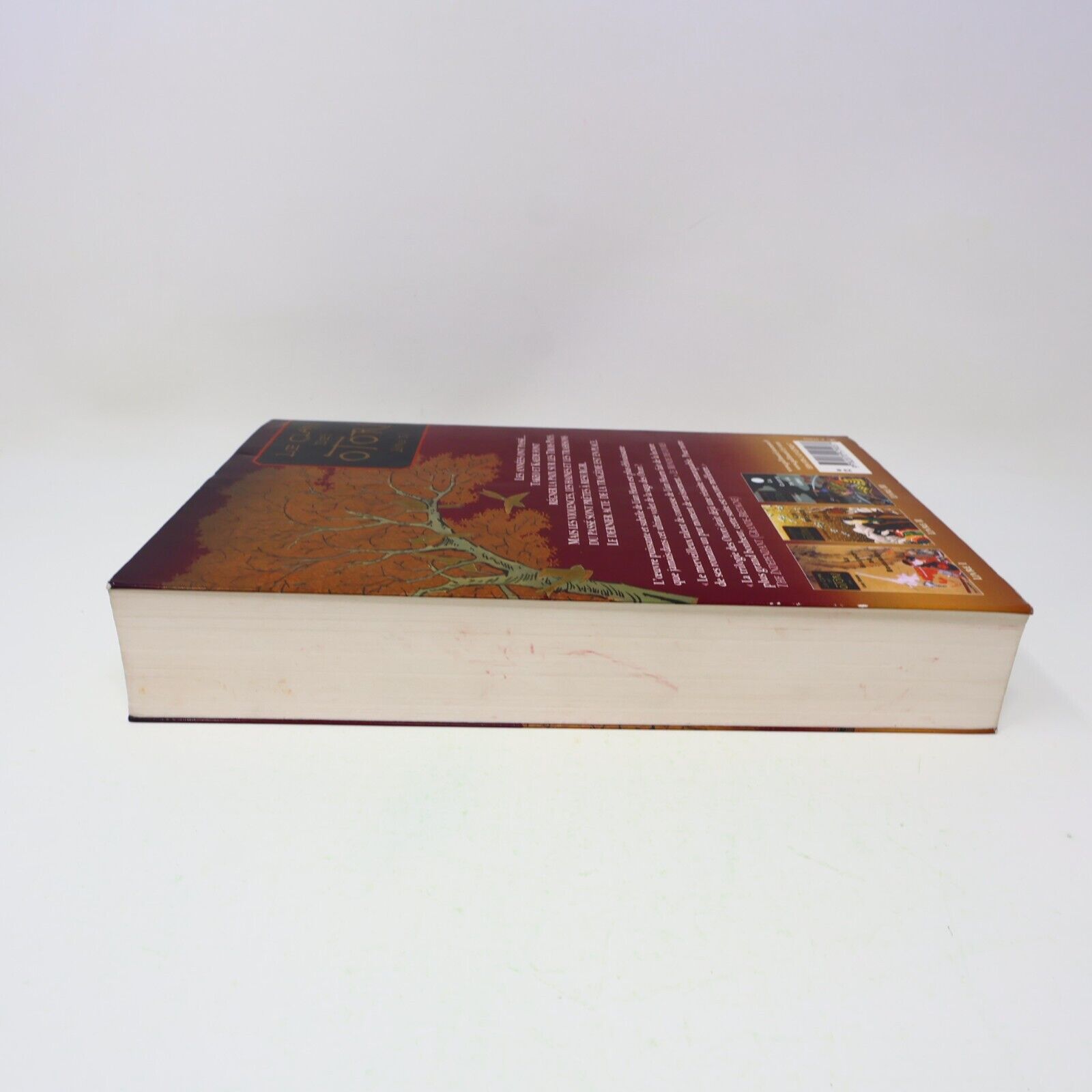 2007 Le Vol du Héron Lian Hearn Le Clan des Otori #4 Gallimard Français Livre PB