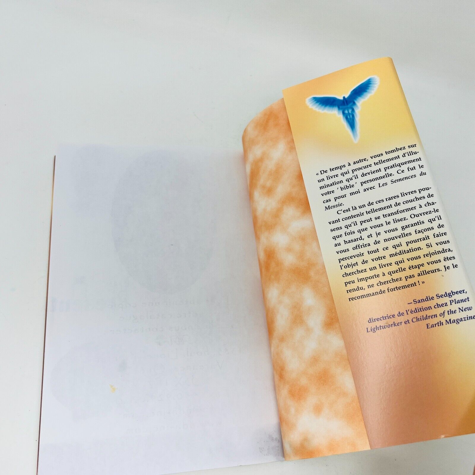 2005 Les Semences du Messie Volume 1 de Story Waters ADA Français Spiritualité