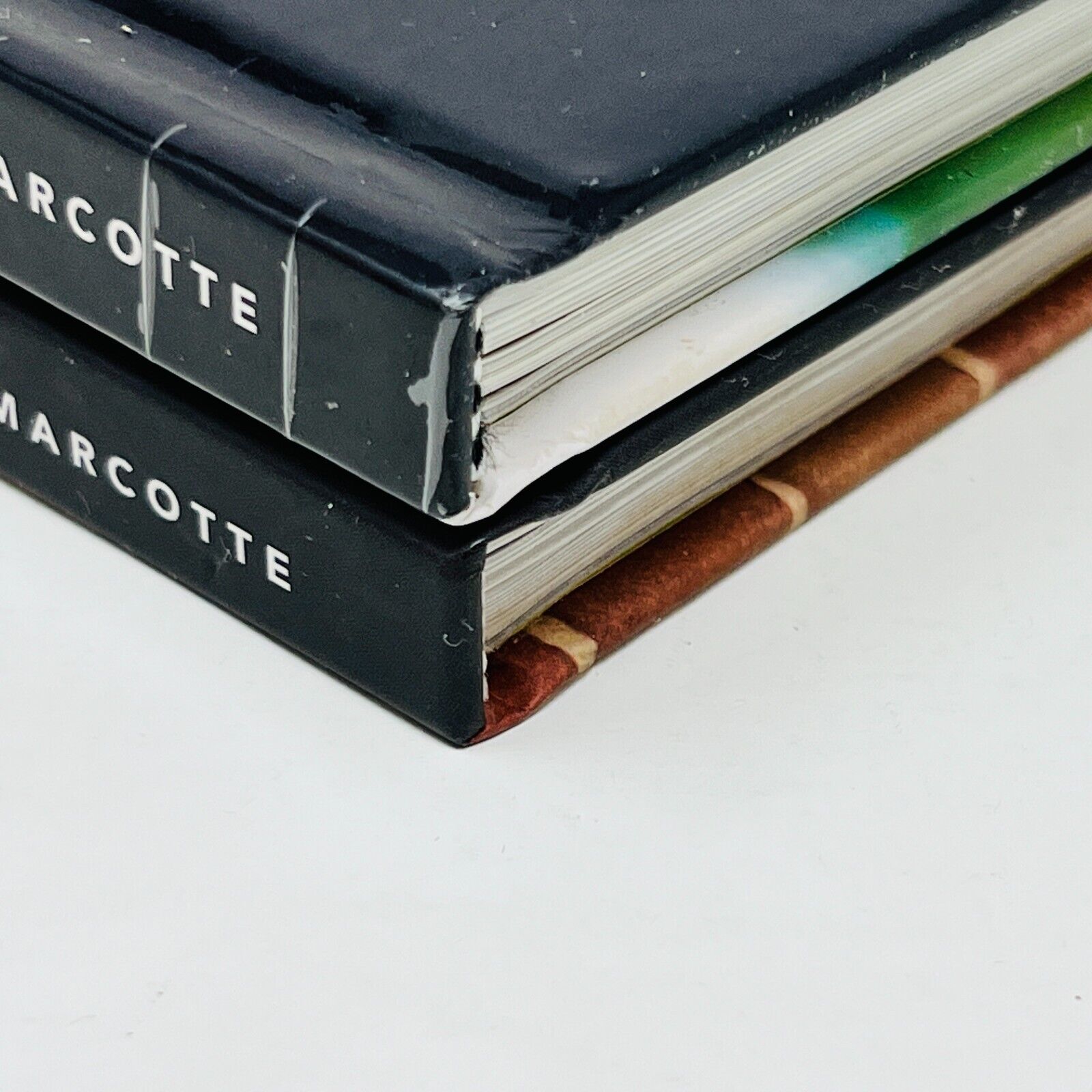 Saisis 1 & 2 de Louis-François Marcotte Lot de Livres Recettes Cuisine Barbecue