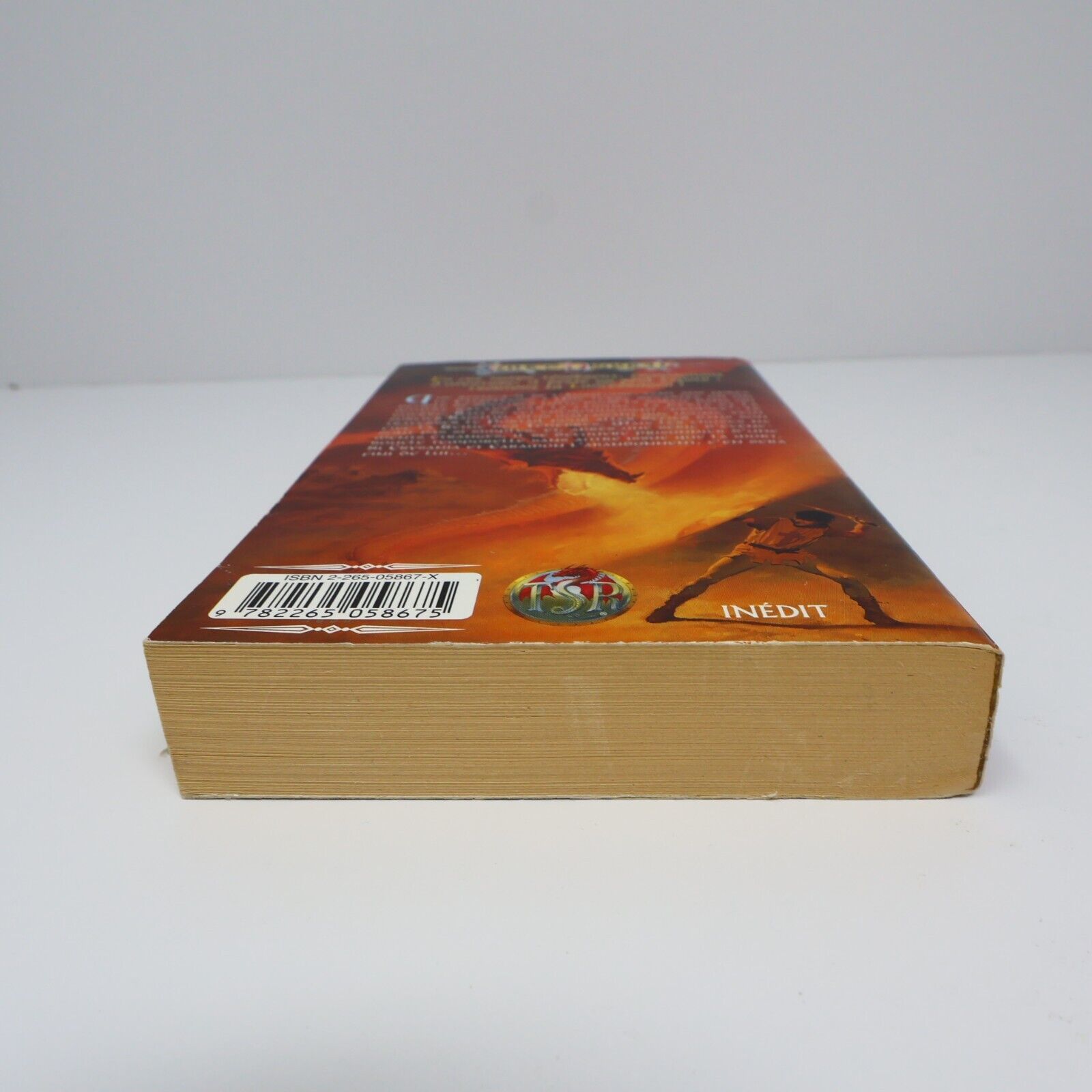1996 LanceDragon #5 La Guerre des Jumeaux La Trilogie des Légendes Dragonlance
