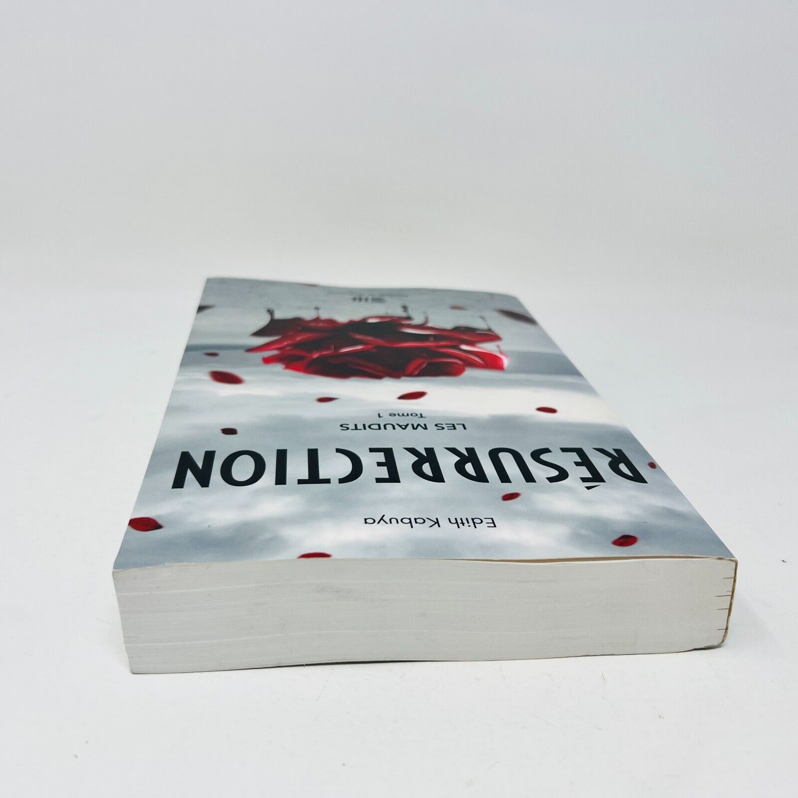 2012 Les Maudits Tome 1 Résurrection de Edith Kabuya Livre de Mortagne Français