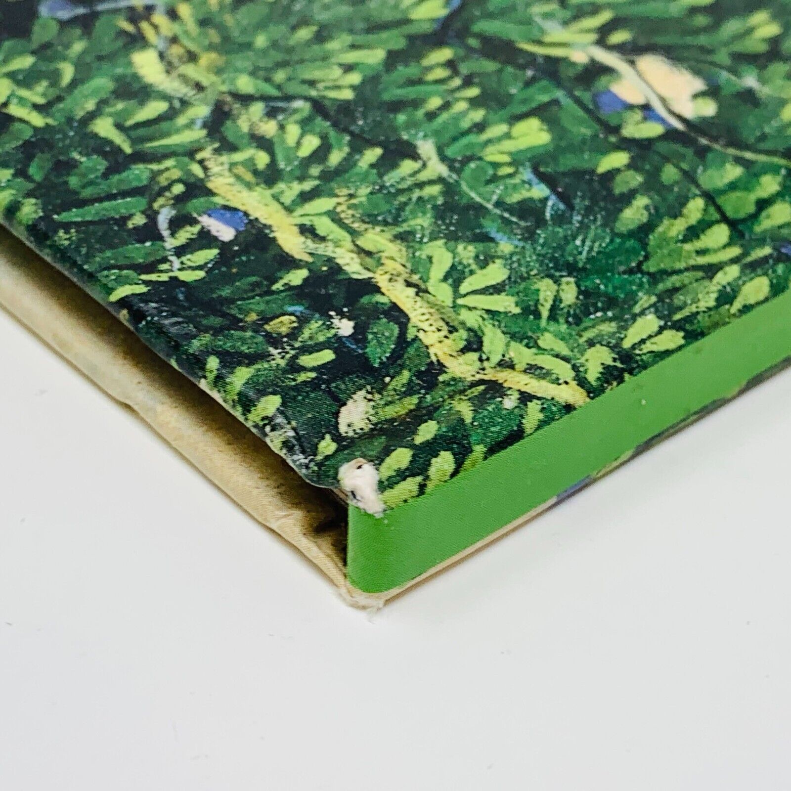 2002 L'Enfant dans les Arbres de Francine Ruel MNBAQ Illustré Marc-Aurèle Fortin