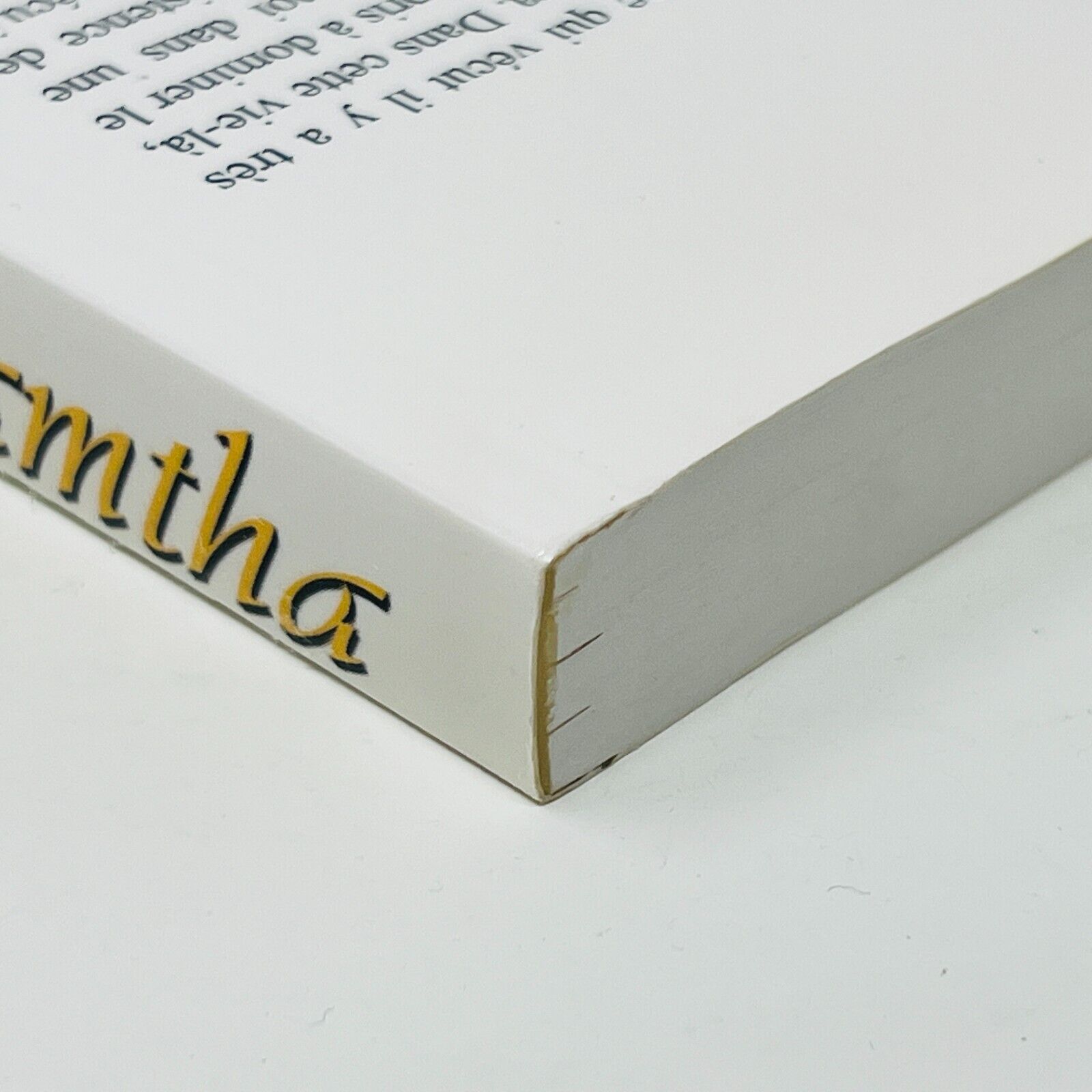 2003 Ramtha Le Livre Blanc Ada en Français/French Supernaturalisme Mysticisme