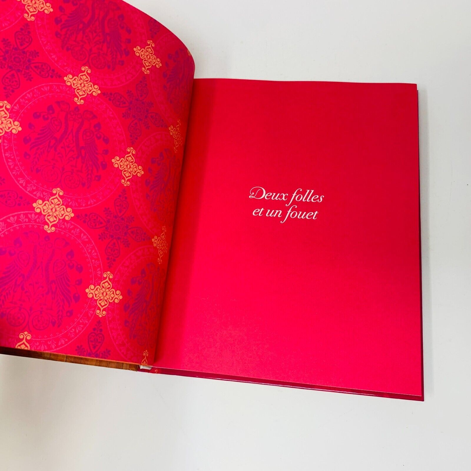 2010 Deux Folles et un Fouet Jessica Barker Raphaële Germain Livre de Recettes