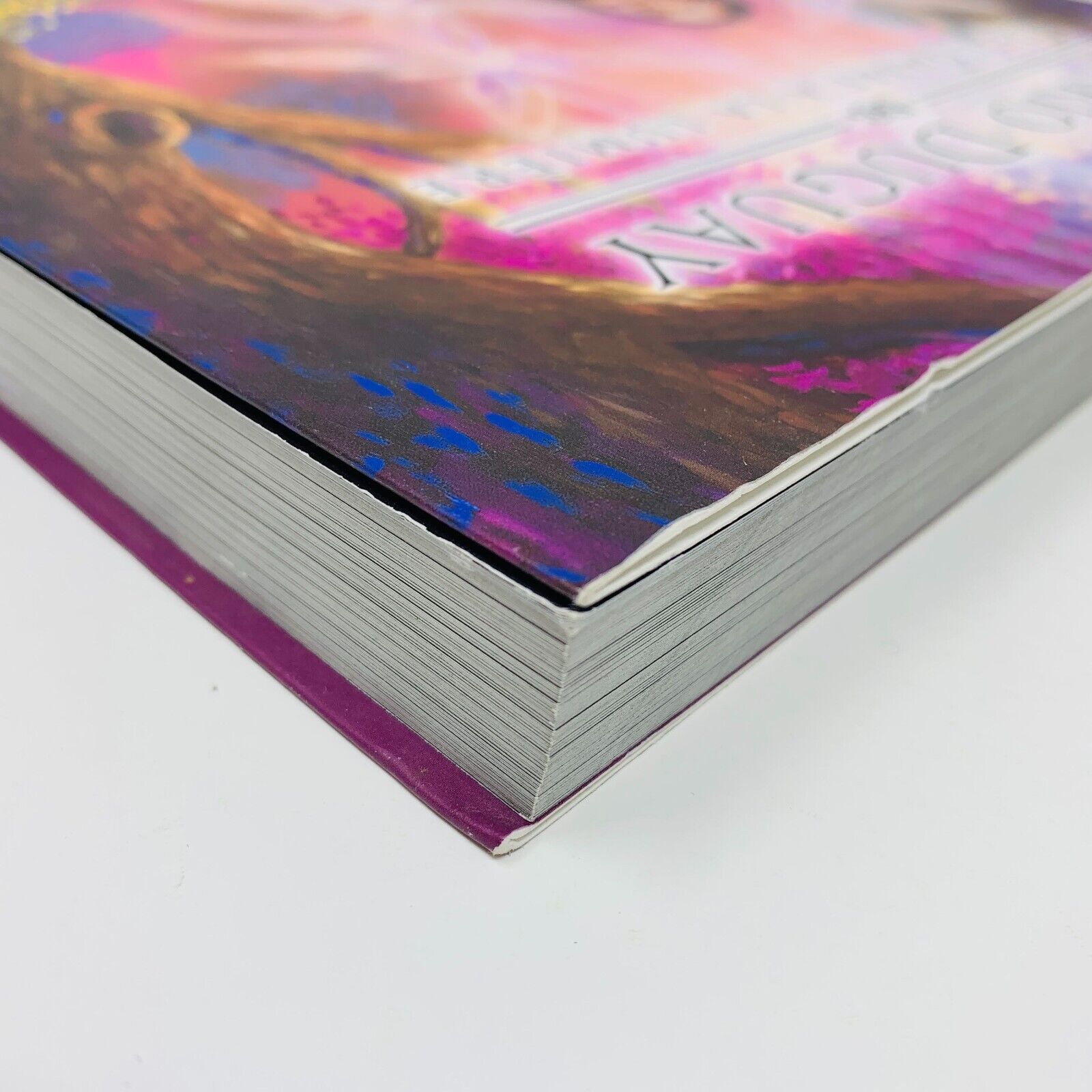 2012 Mario Duguay De l'Ombre à la Lumière Illustrations Peintures Français Livre