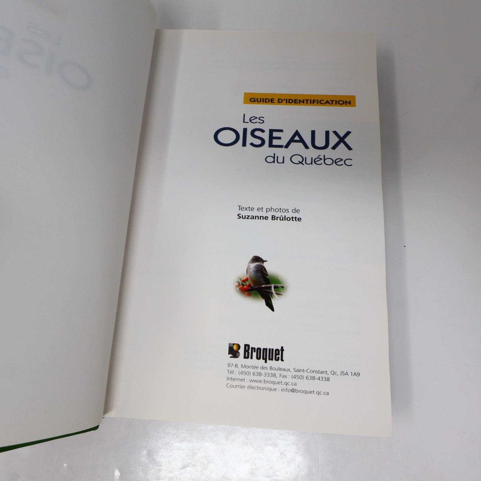 Suzanne Brûlotte Lot 3 Livres Les Oiseaux du Québec Guide d'Identification Books