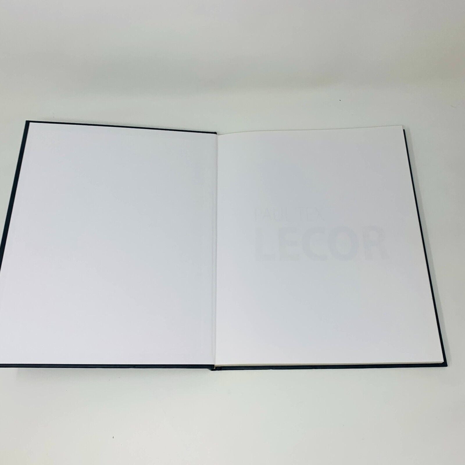 2013 Paul Tex Lecor Mon Monde Pour Vous Français/Anglais Livre sur Peintures Art